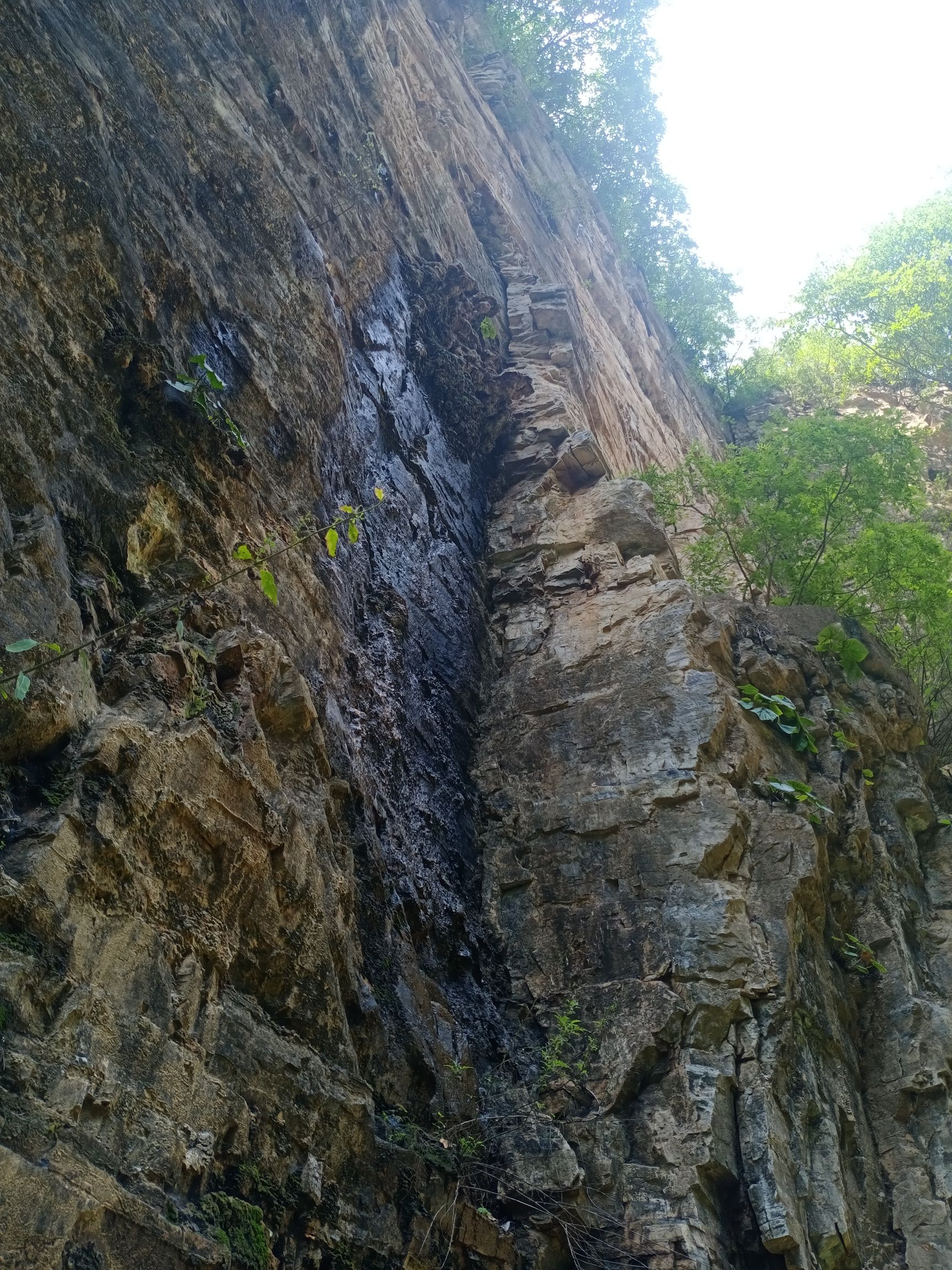 全胜峡旅行图片 3