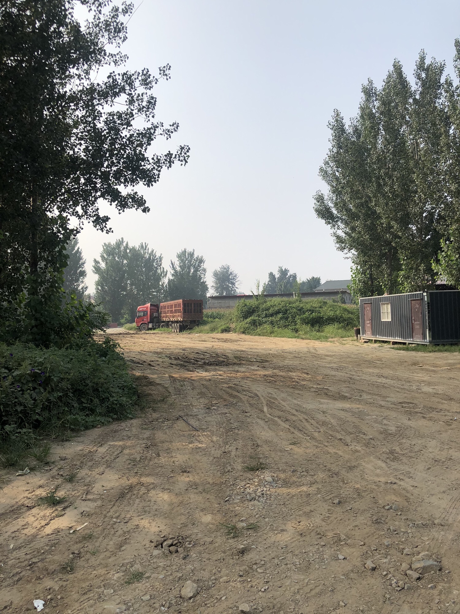 西城子遗址旅行图片 1