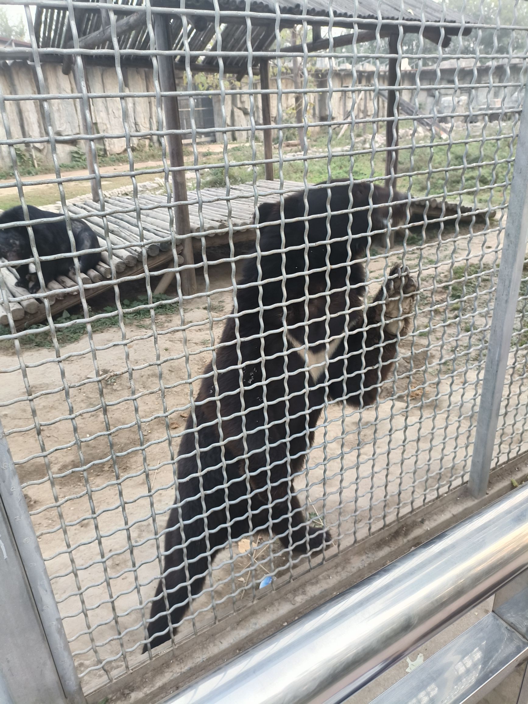 保定市林草生态园旅行图片 3