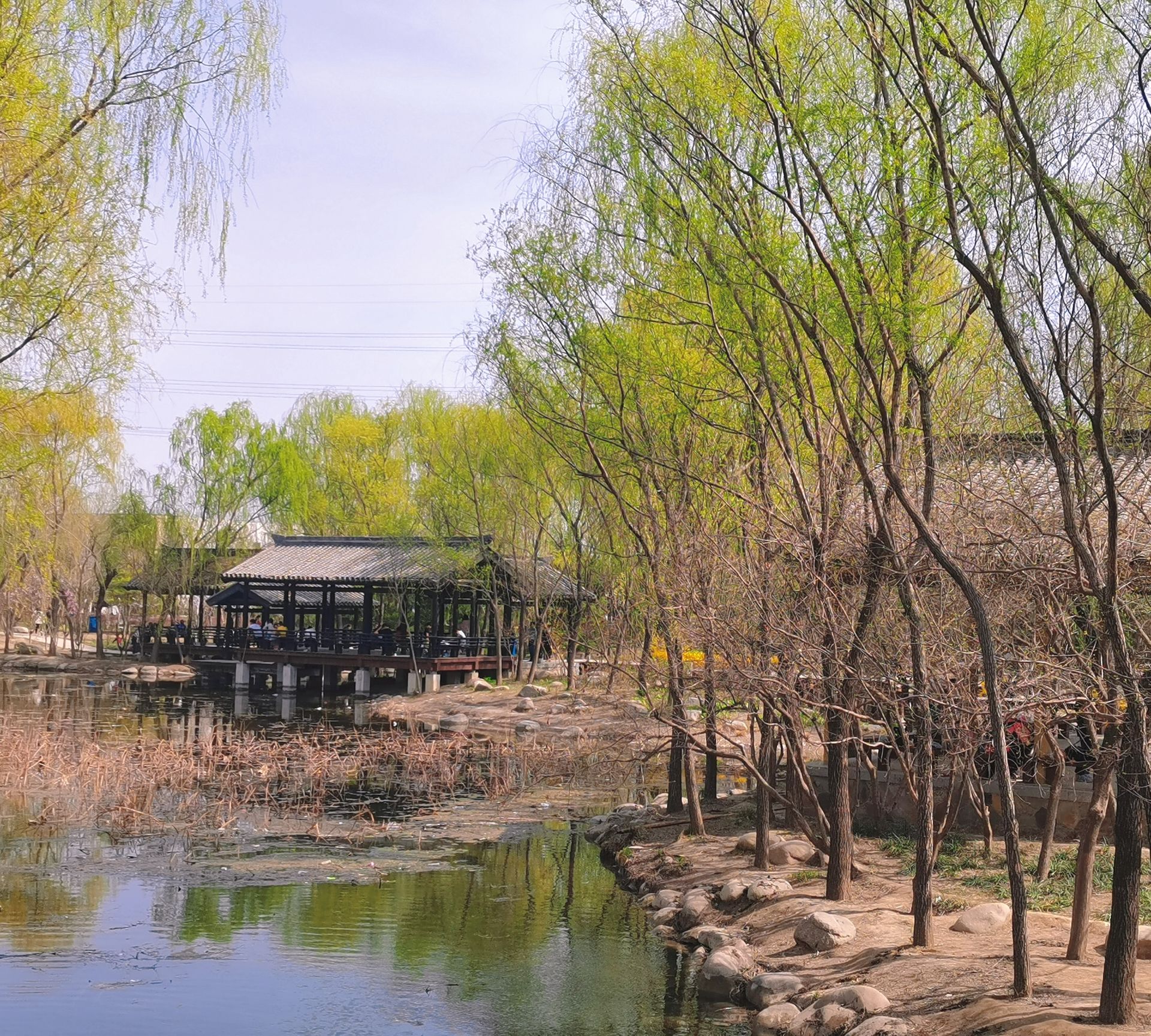 保定市林草生态园旅行图片 1