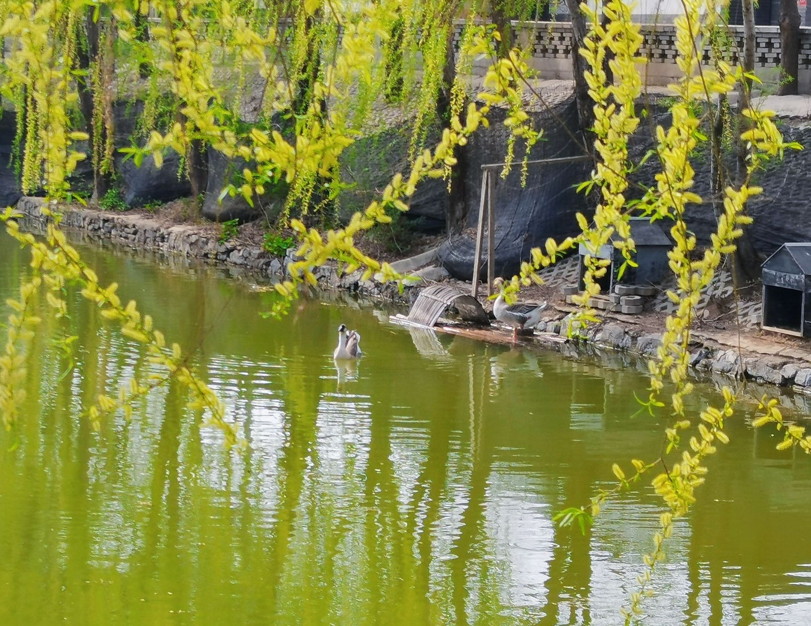 保定市林草生态园旅行图片 2