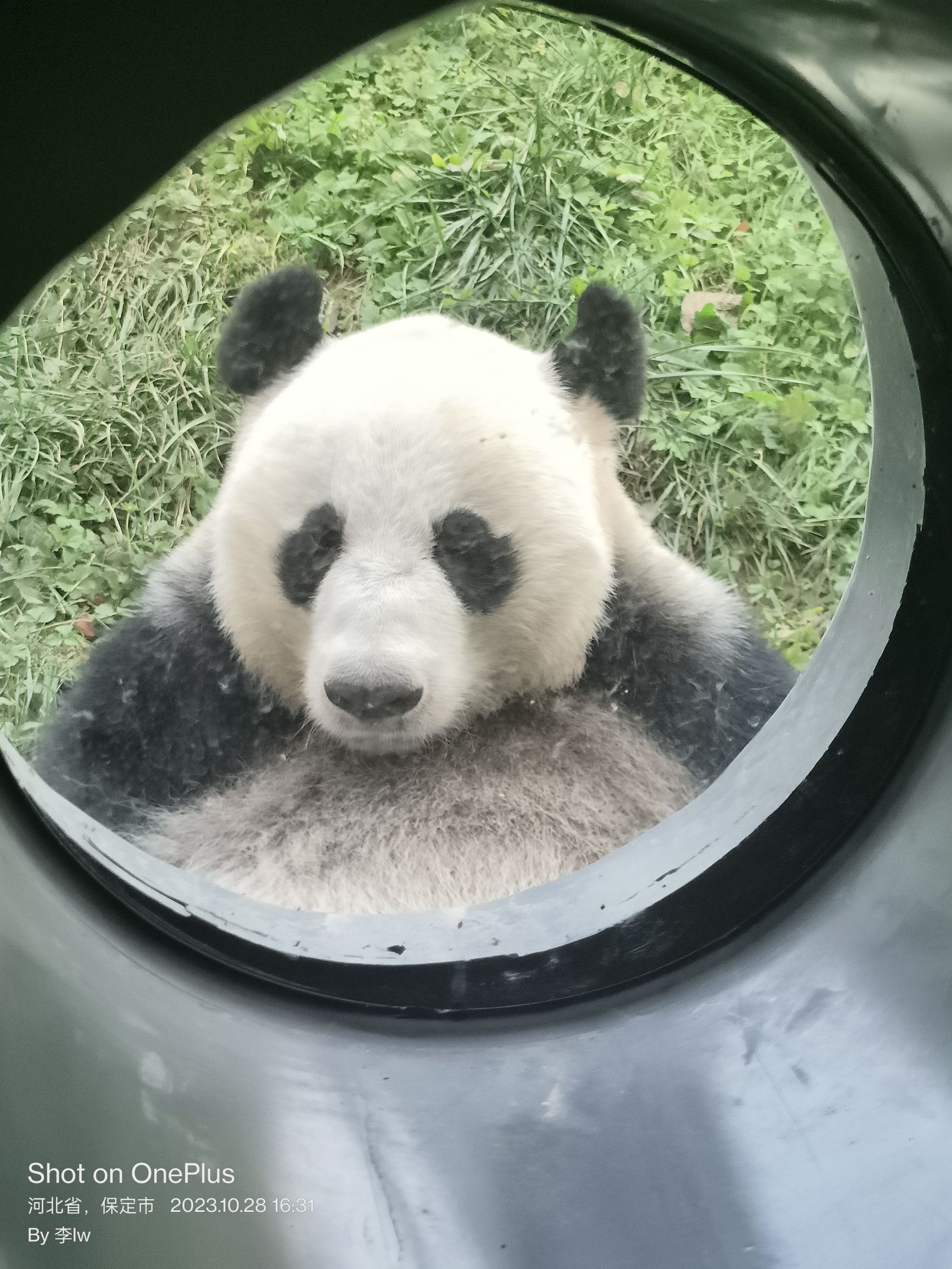 保定市林草生态园旅行图片 2