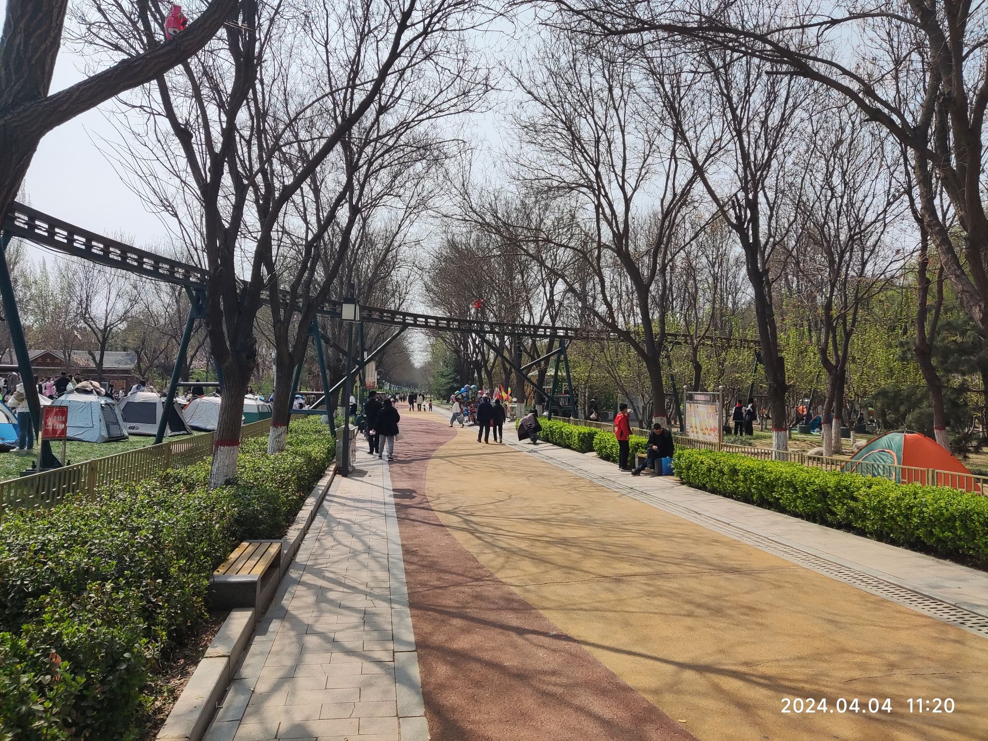 保定市林草生态园旅行图片 2