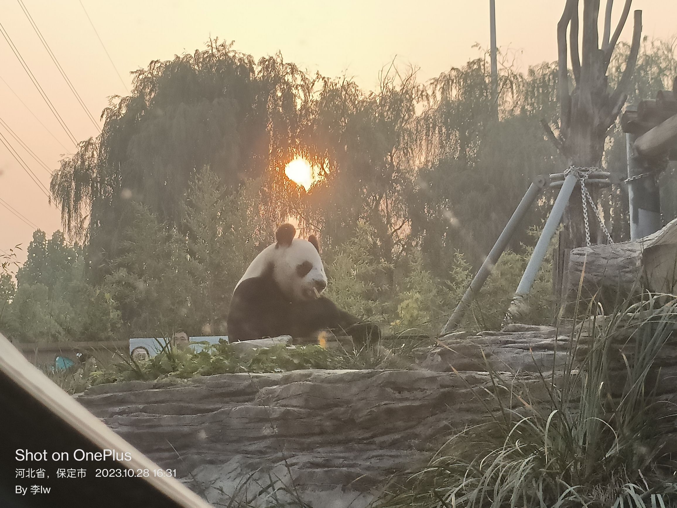 保定市林草生态园旅行图片 1