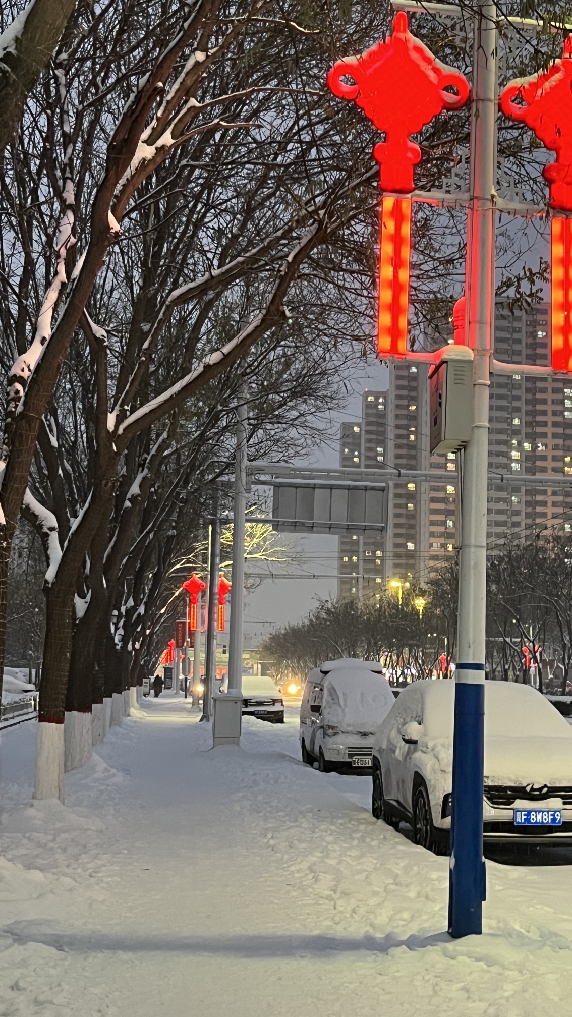 清苑公园旅行图片 3