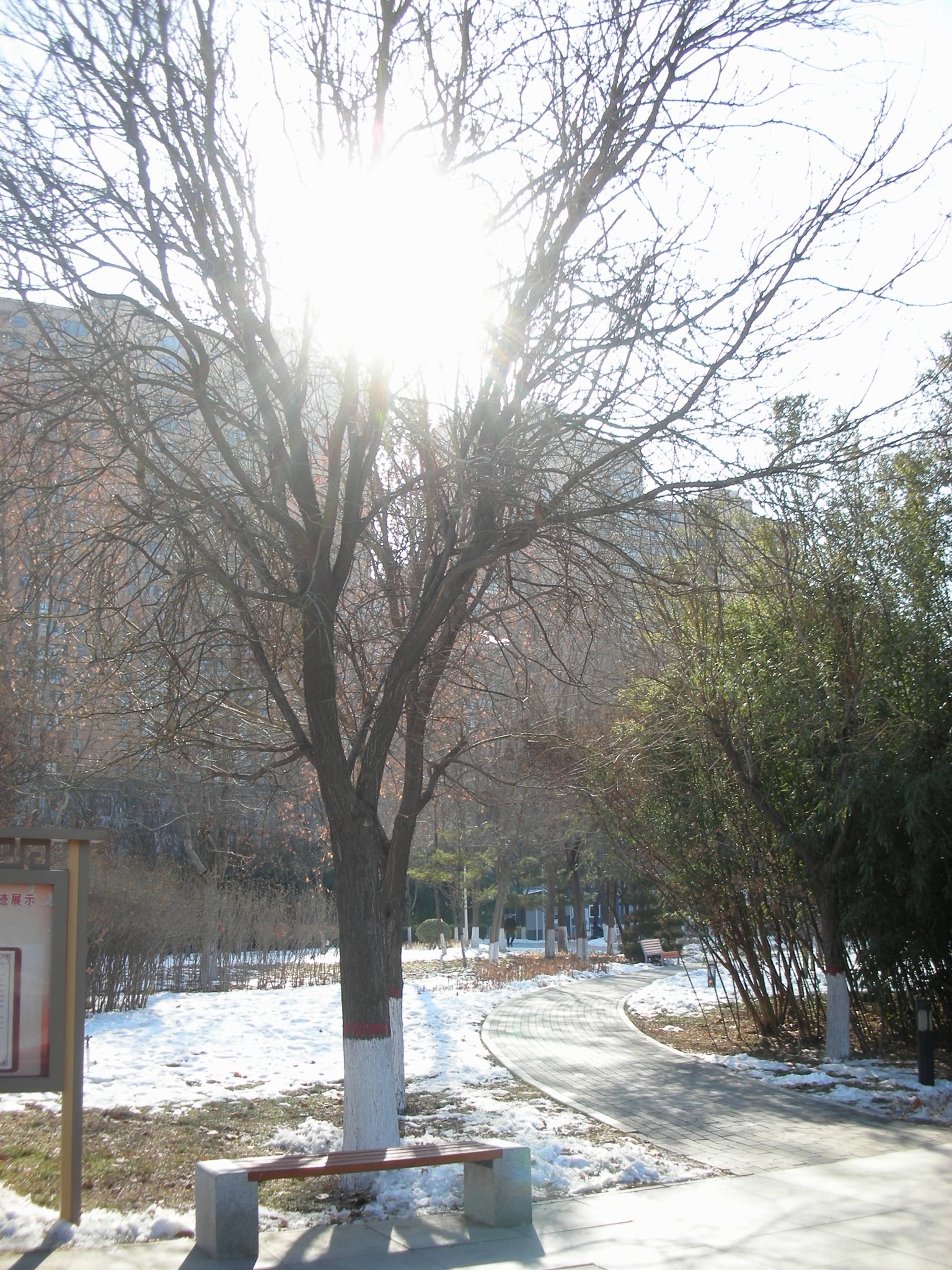 清苑公园旅行图片 2
