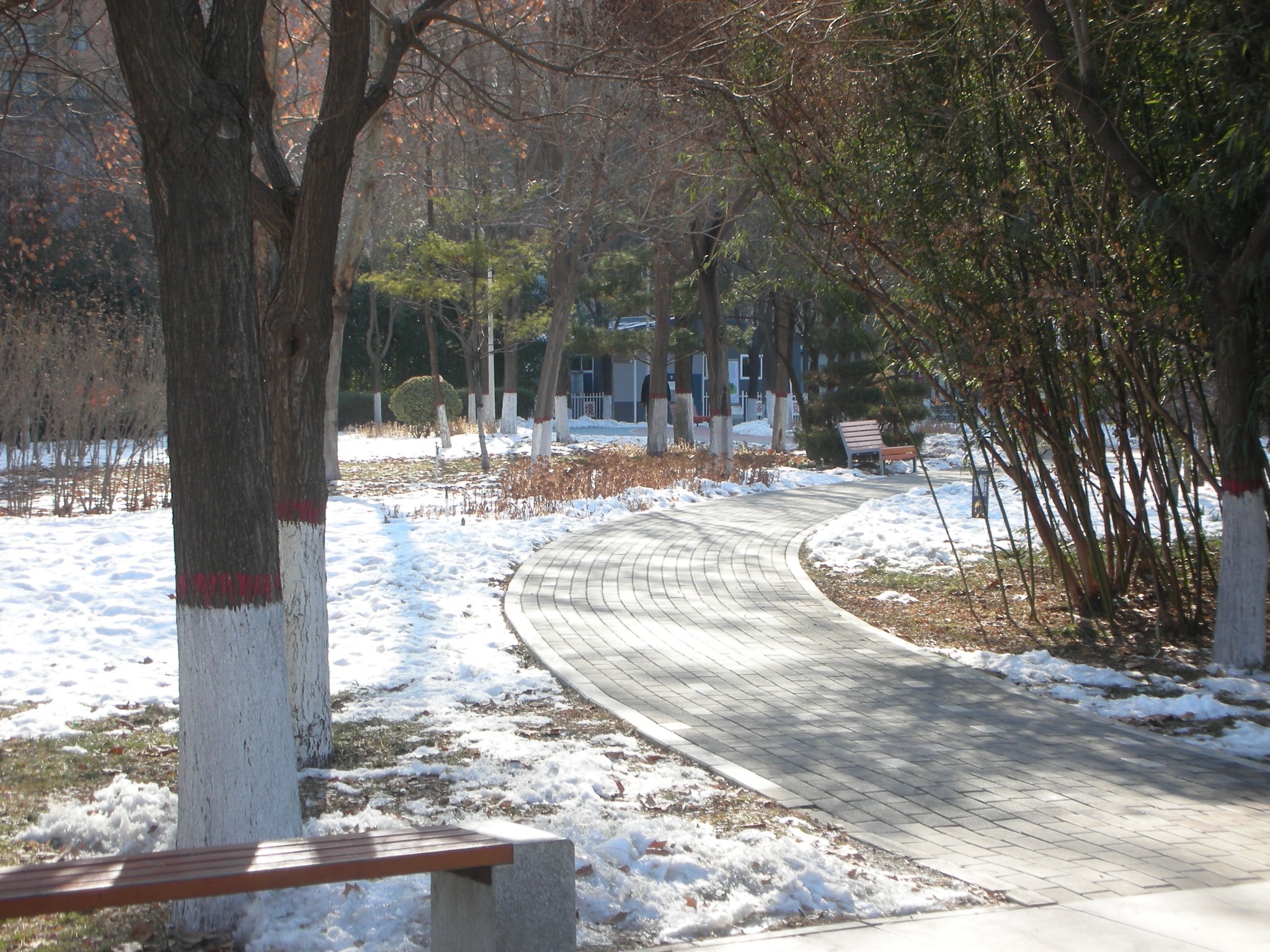 清苑公园旅行图片 3