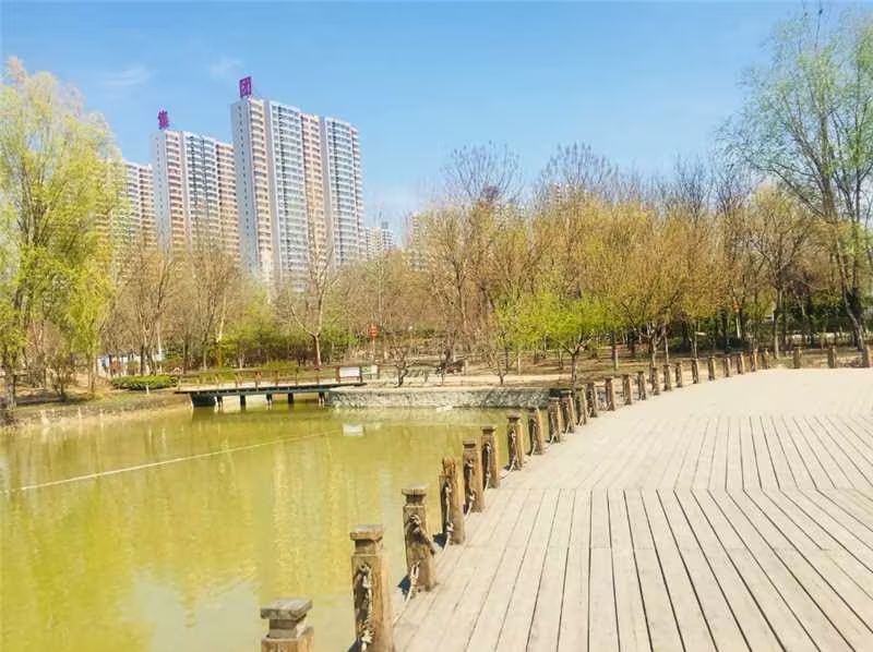 清苑公园旅行图片 1