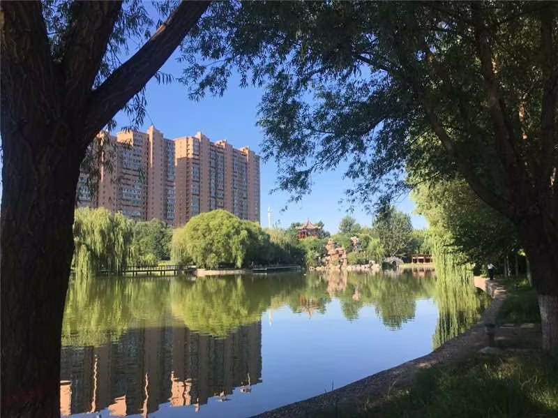 清苑公园旅行图片 3