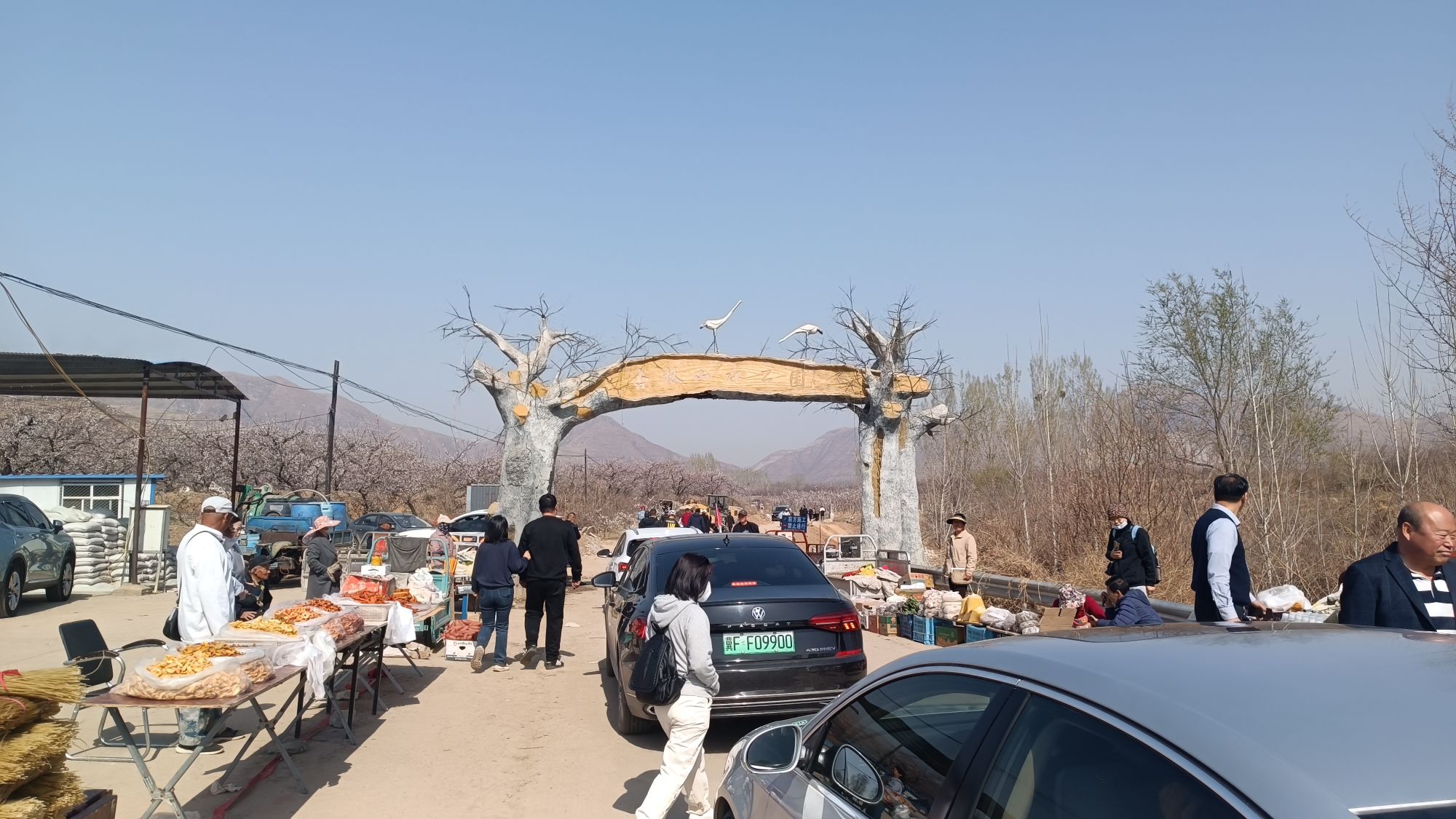 杏林山水公园旅行图片 1