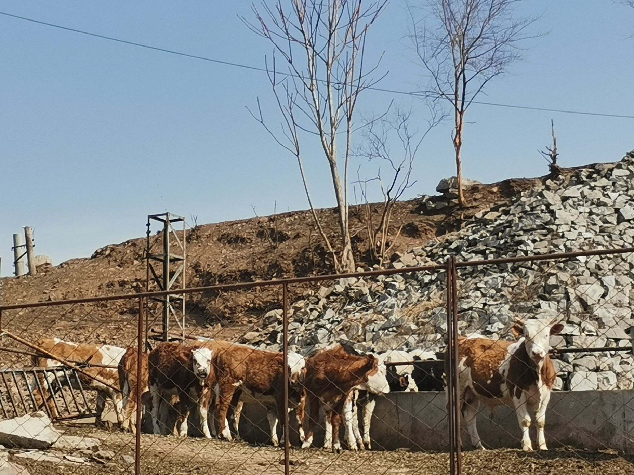杏林山水公园旅行图片 2