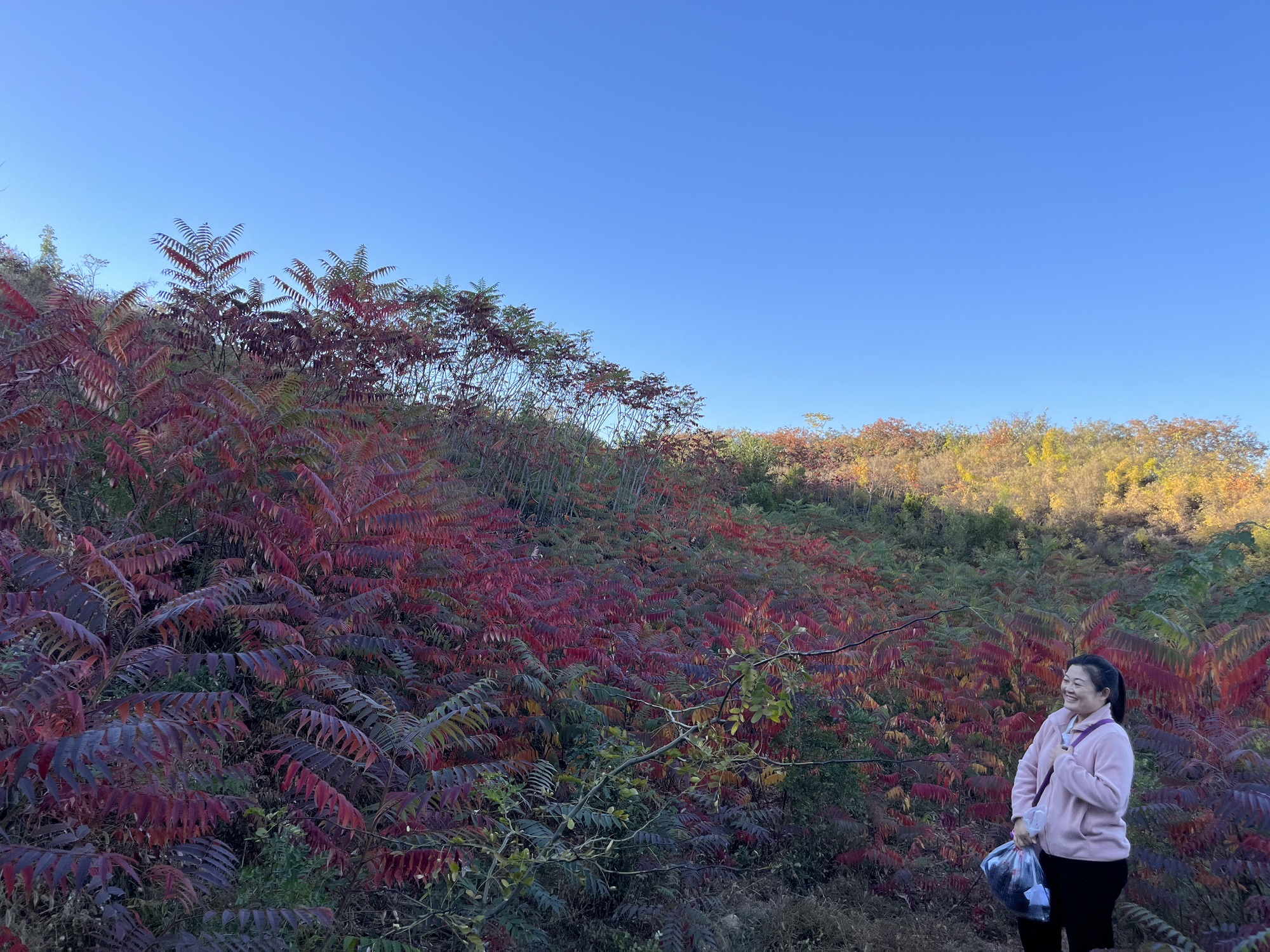 唐县香山生态观光园旅行图片 2