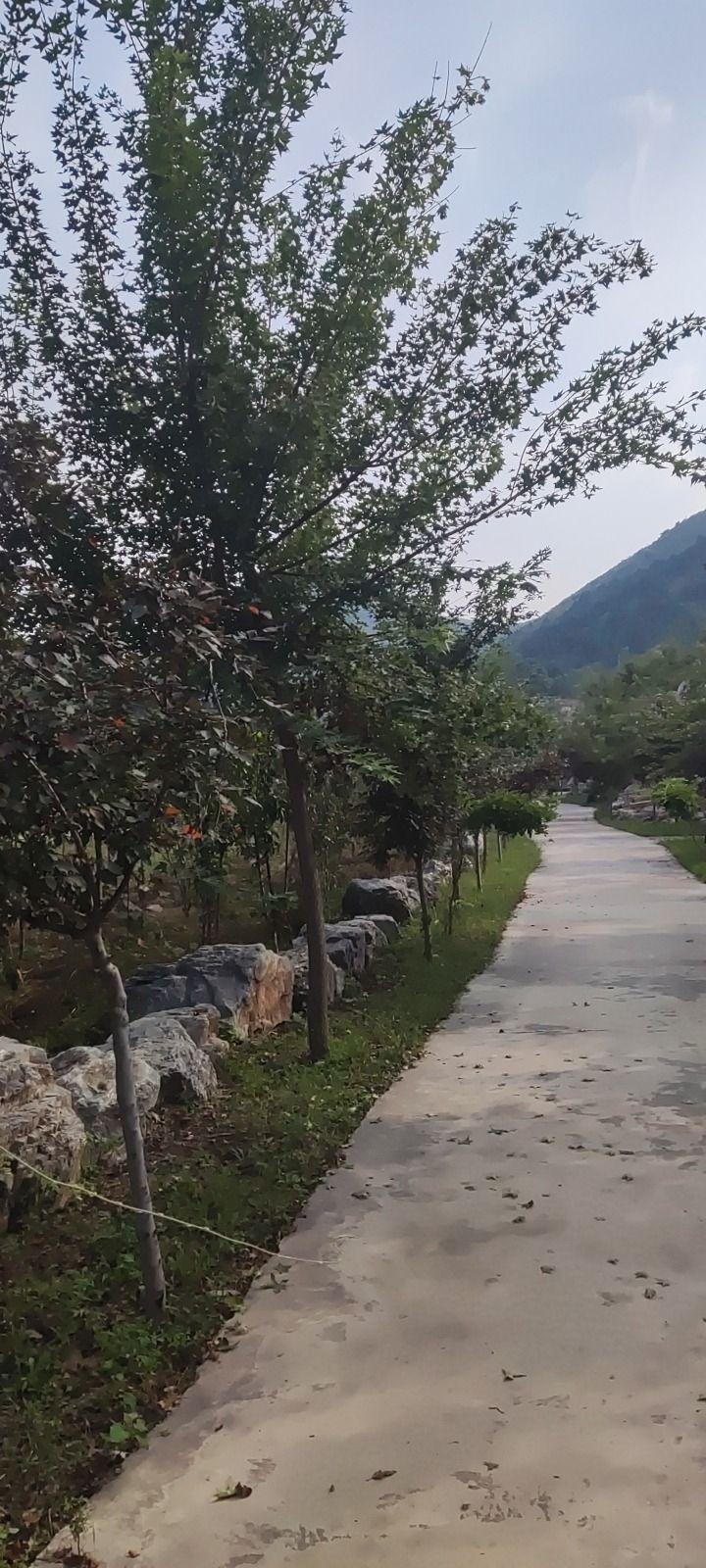 华峪山庄旅行图片 1