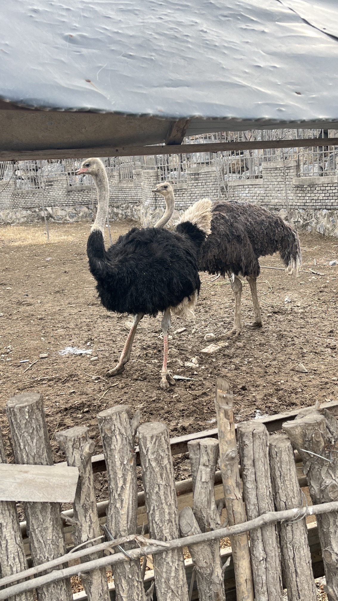 华峪山庄旅行图片 1