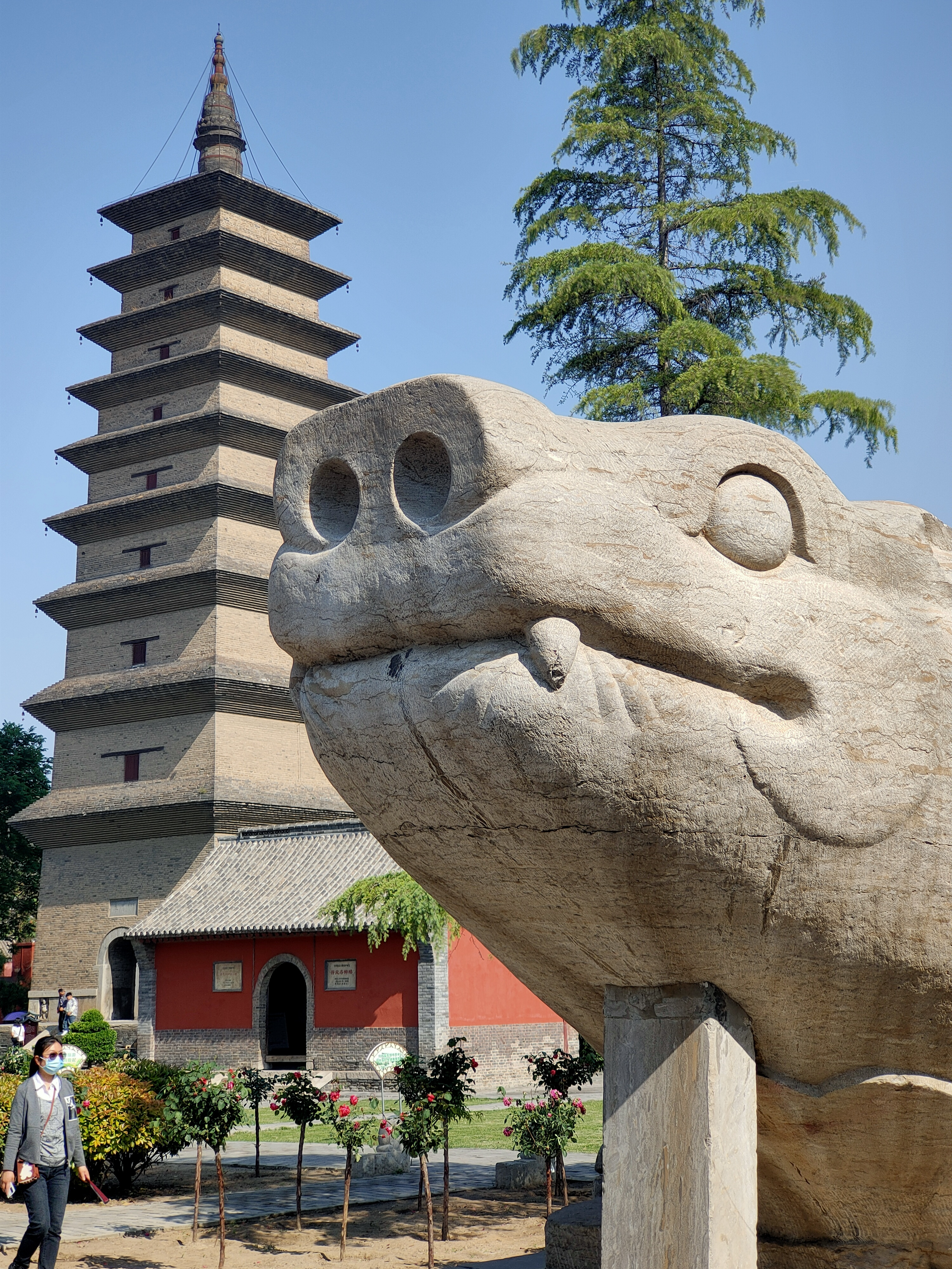 定州开元寺塔旅行图片 2