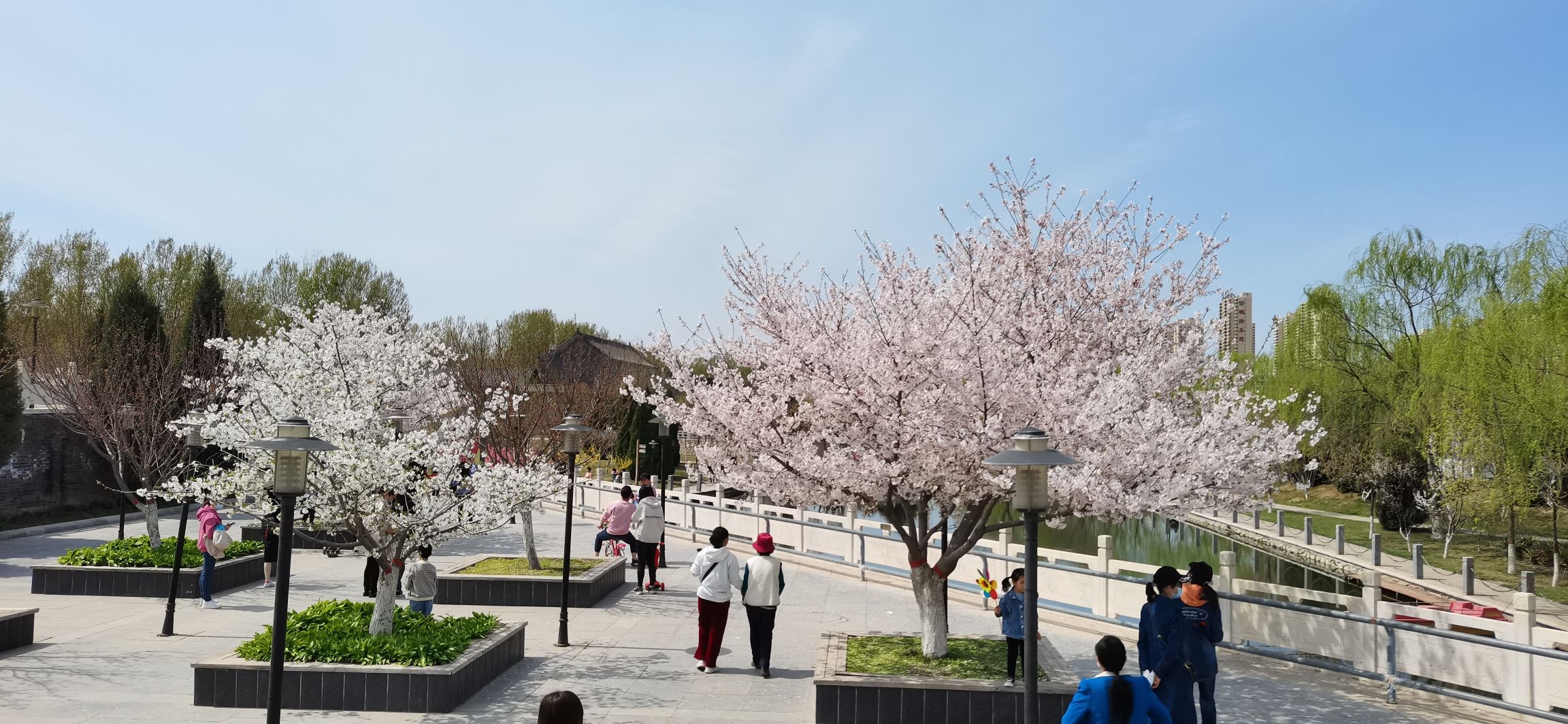 涿州市永济公园旅行图片 1