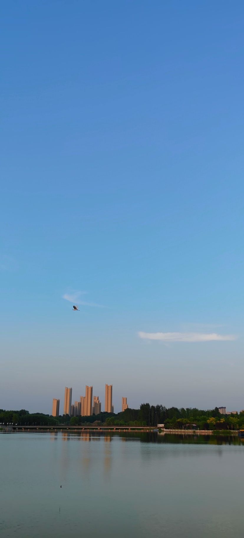 涿州市永济公园旅行图片 2