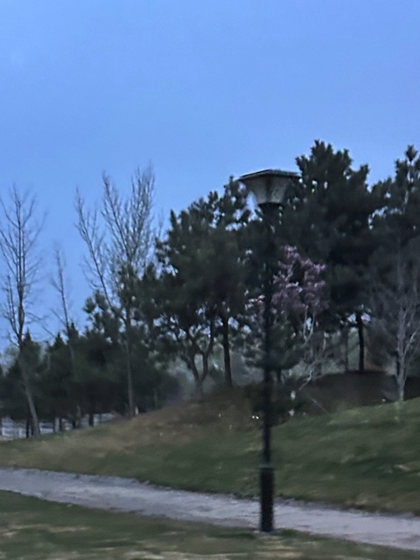 涿州市永济公园旅行图片 1