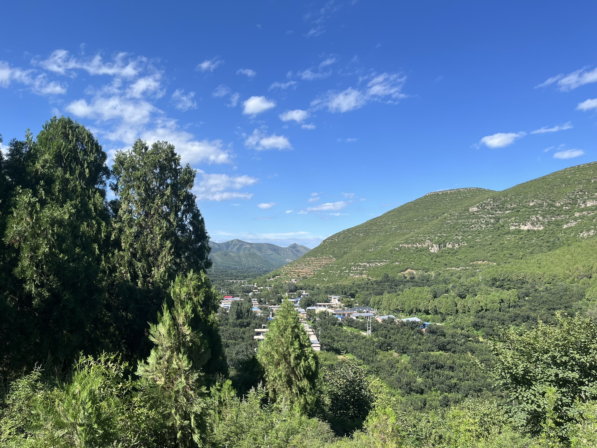 神星柿子沟旅行图片 2