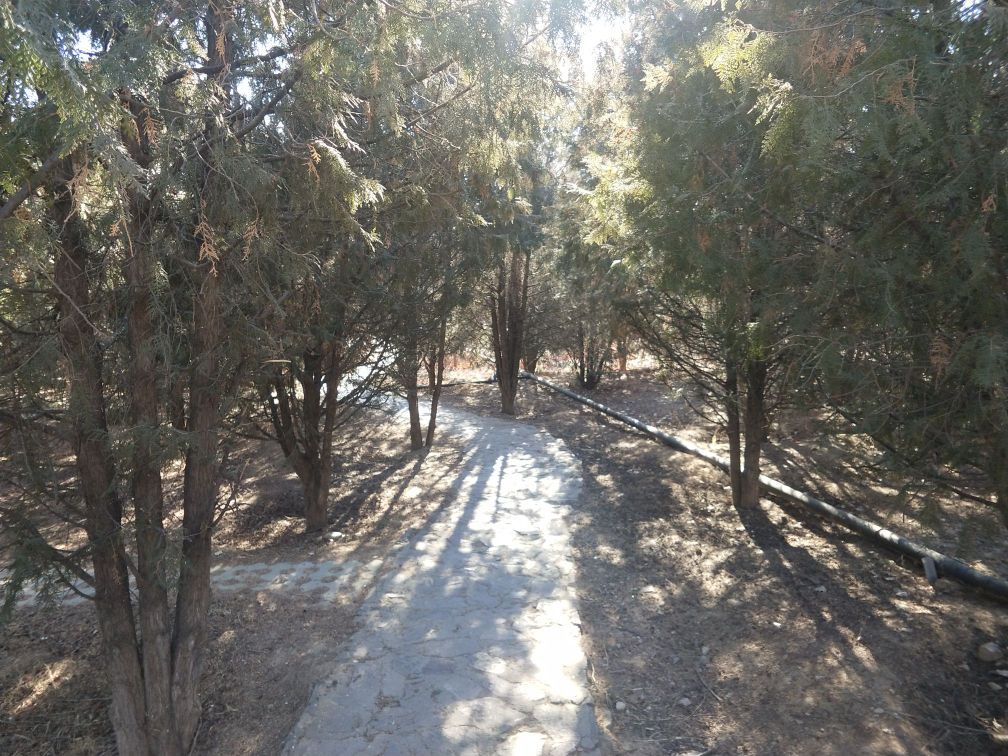 小白山生态公园旅行图片 2