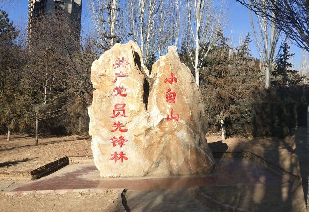小白山生态公园旅行图片 3