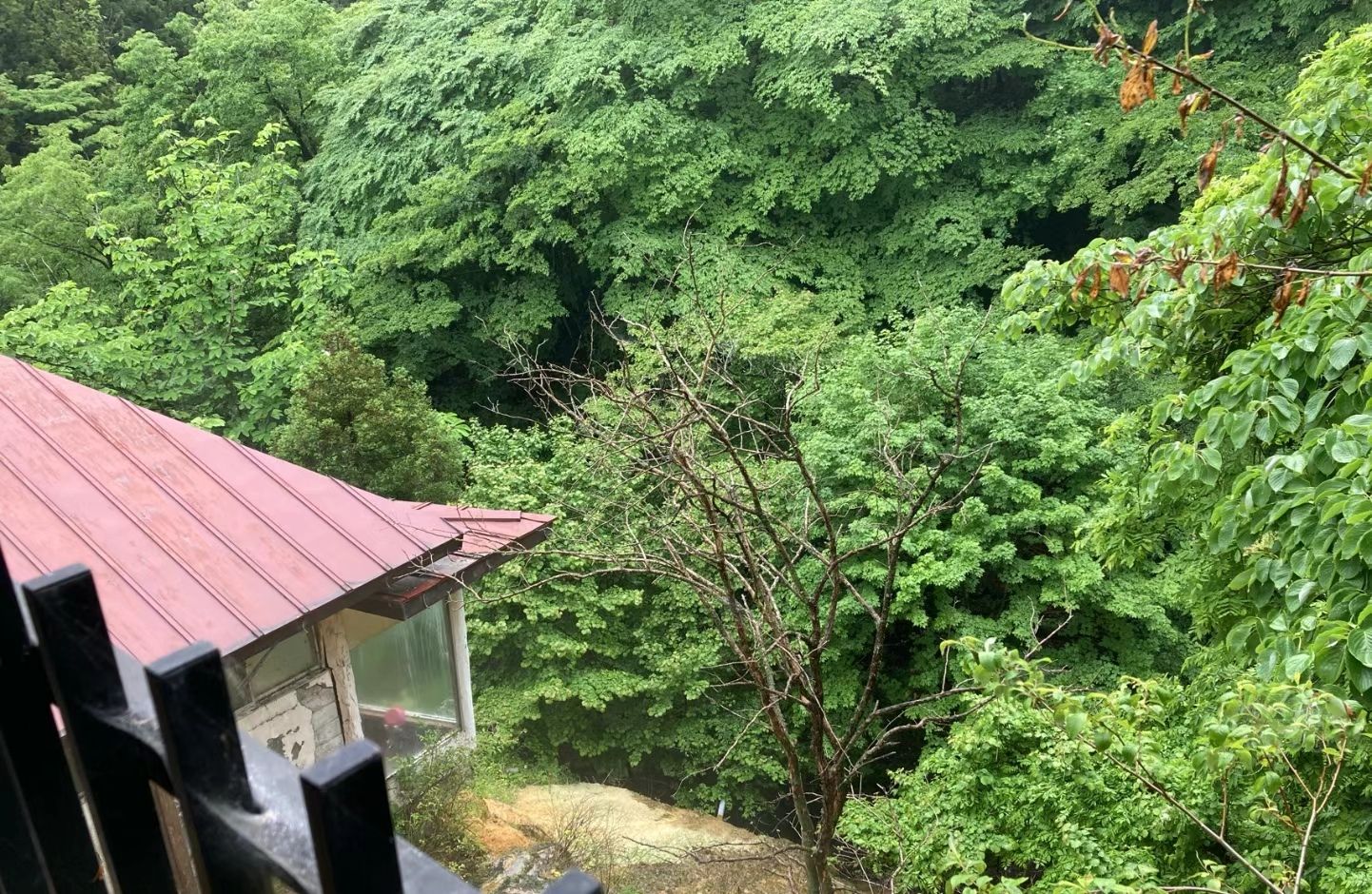 赤城温泉旅行图片 1