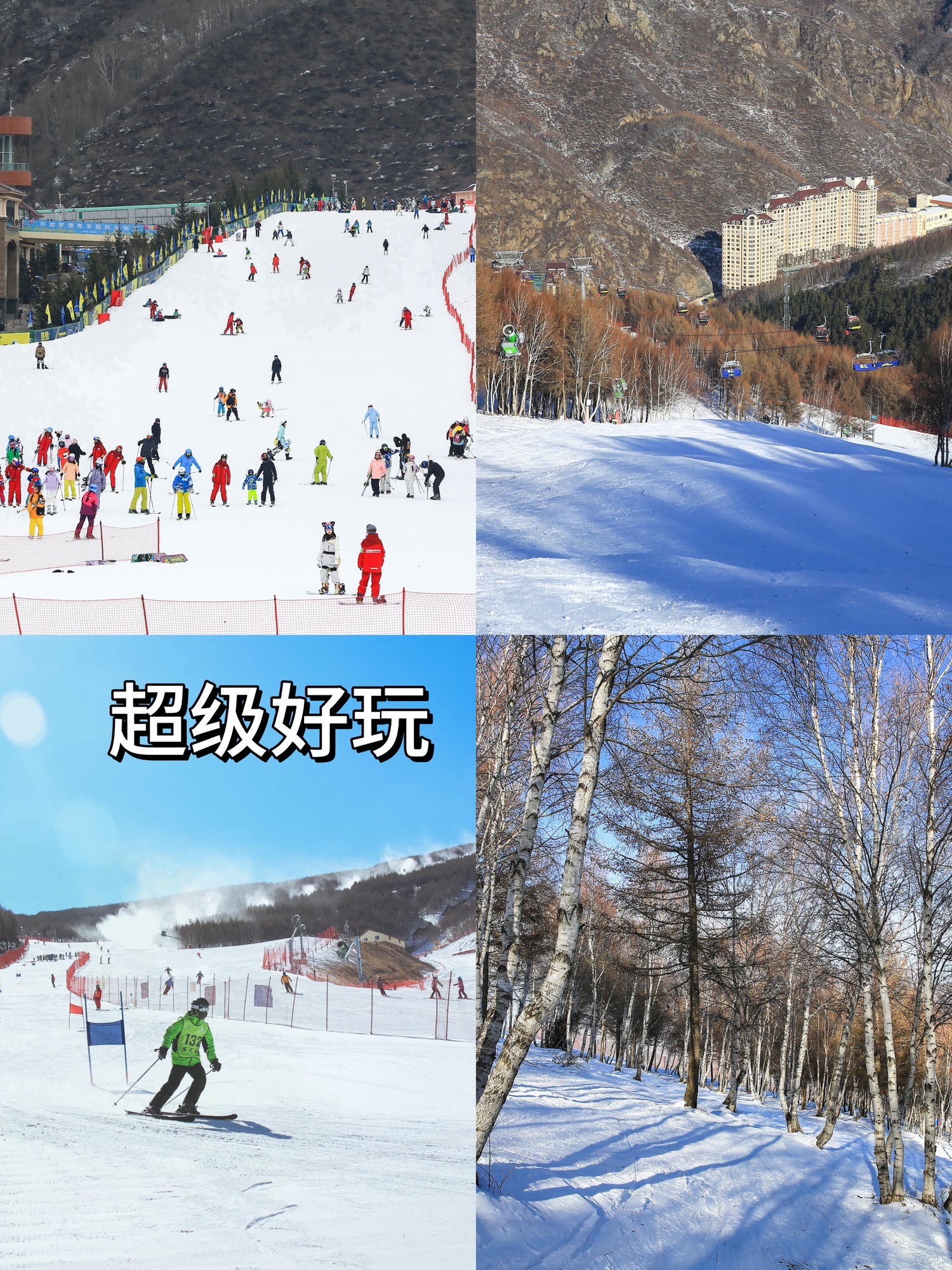 万龙滑雪场旅行图片 3