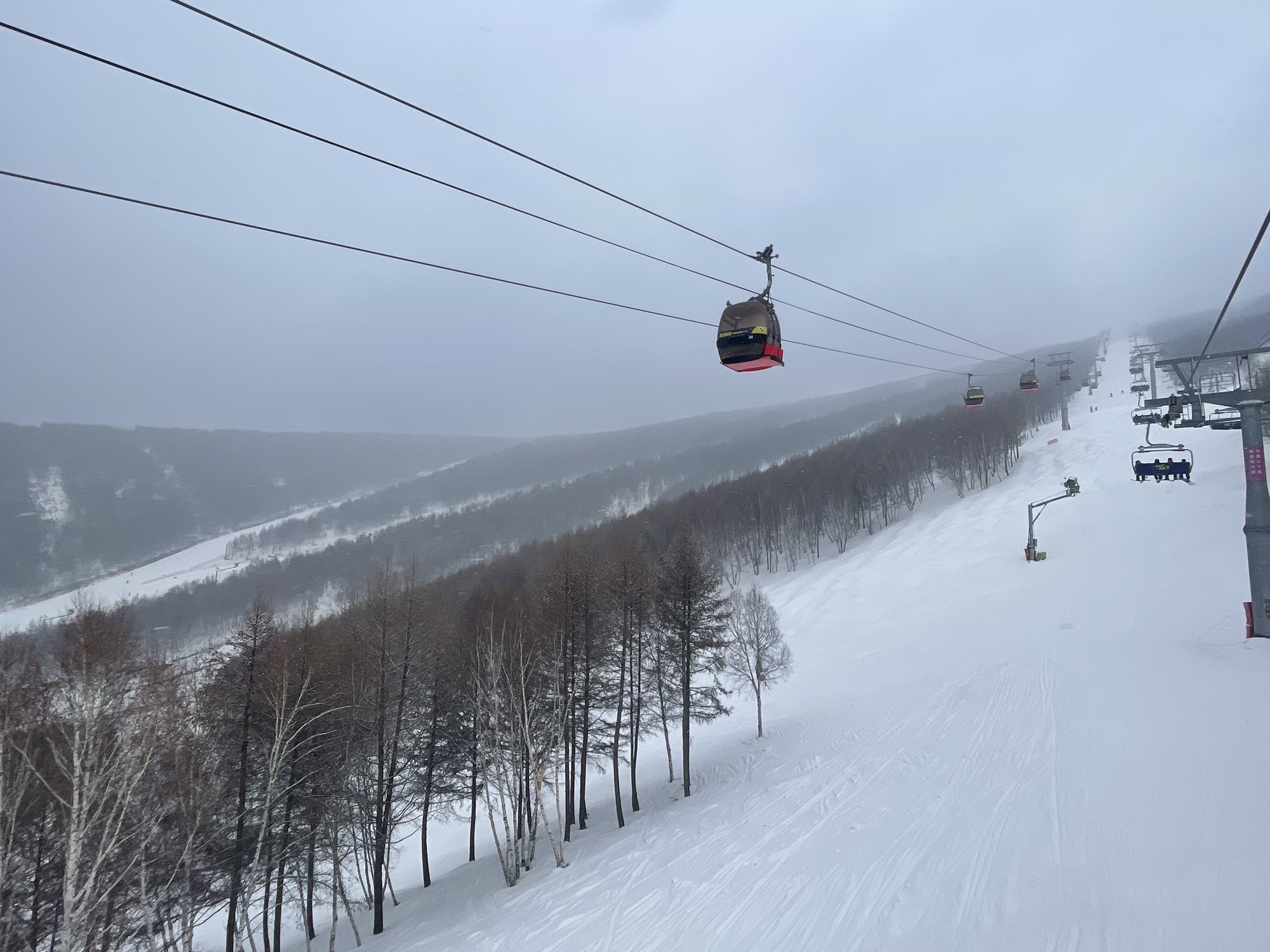 万龙滑雪场旅行图片 1