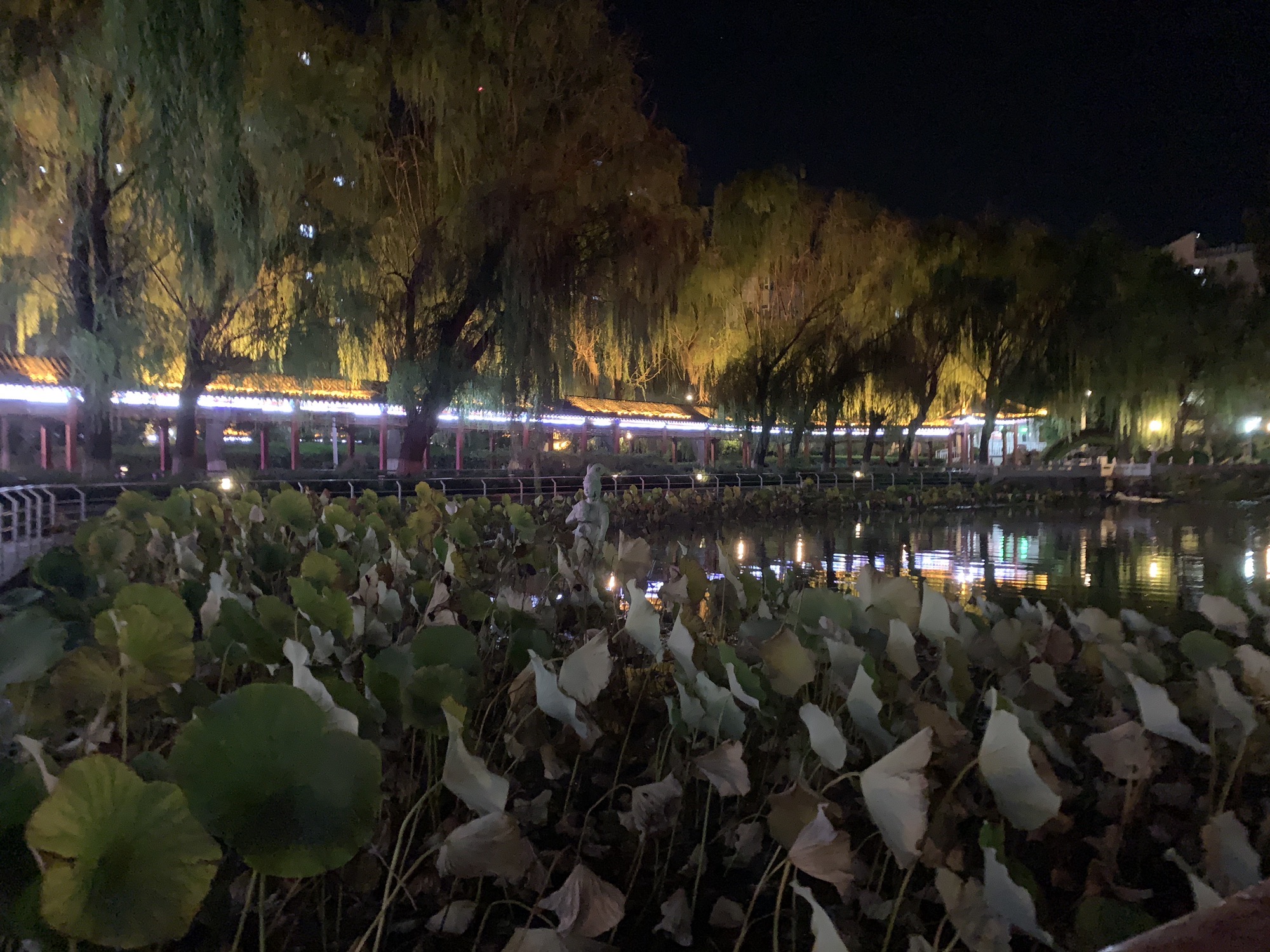水泉公园旅行图片 3