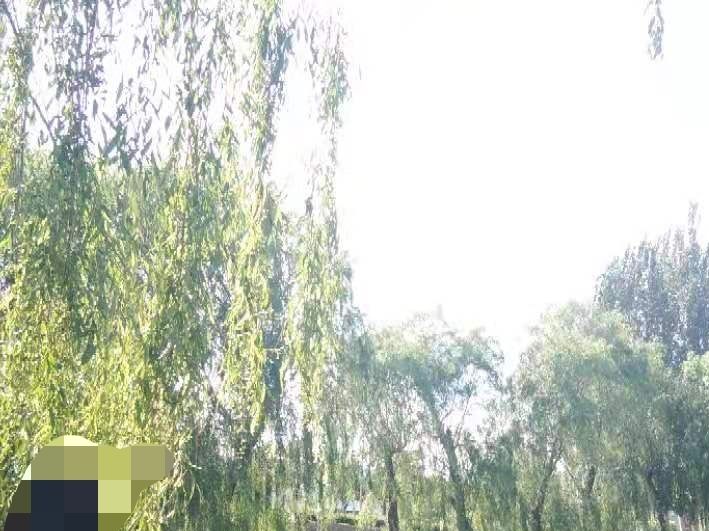 水泉公园旅行图片 1