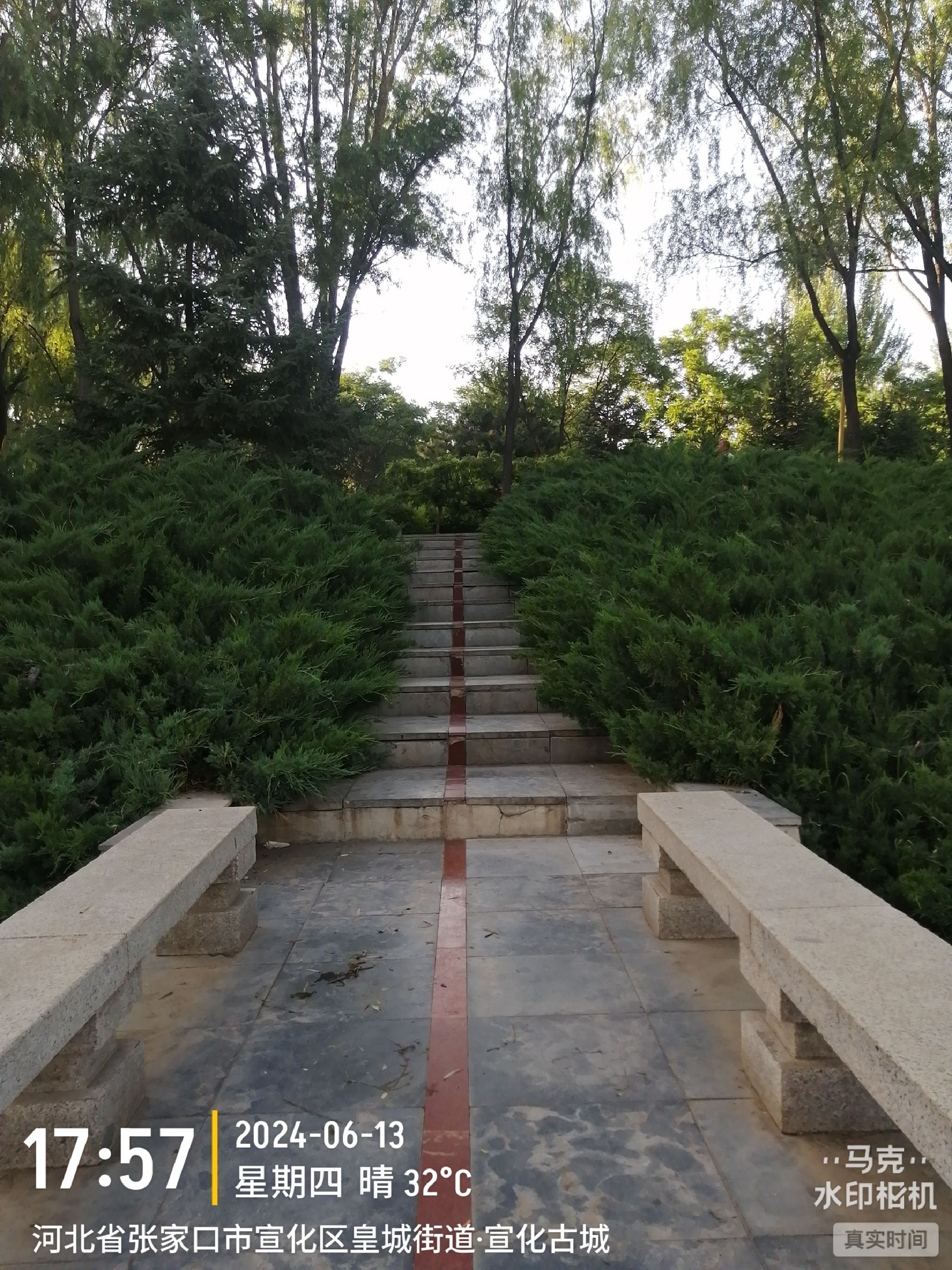 万柳公园旅行图片 3