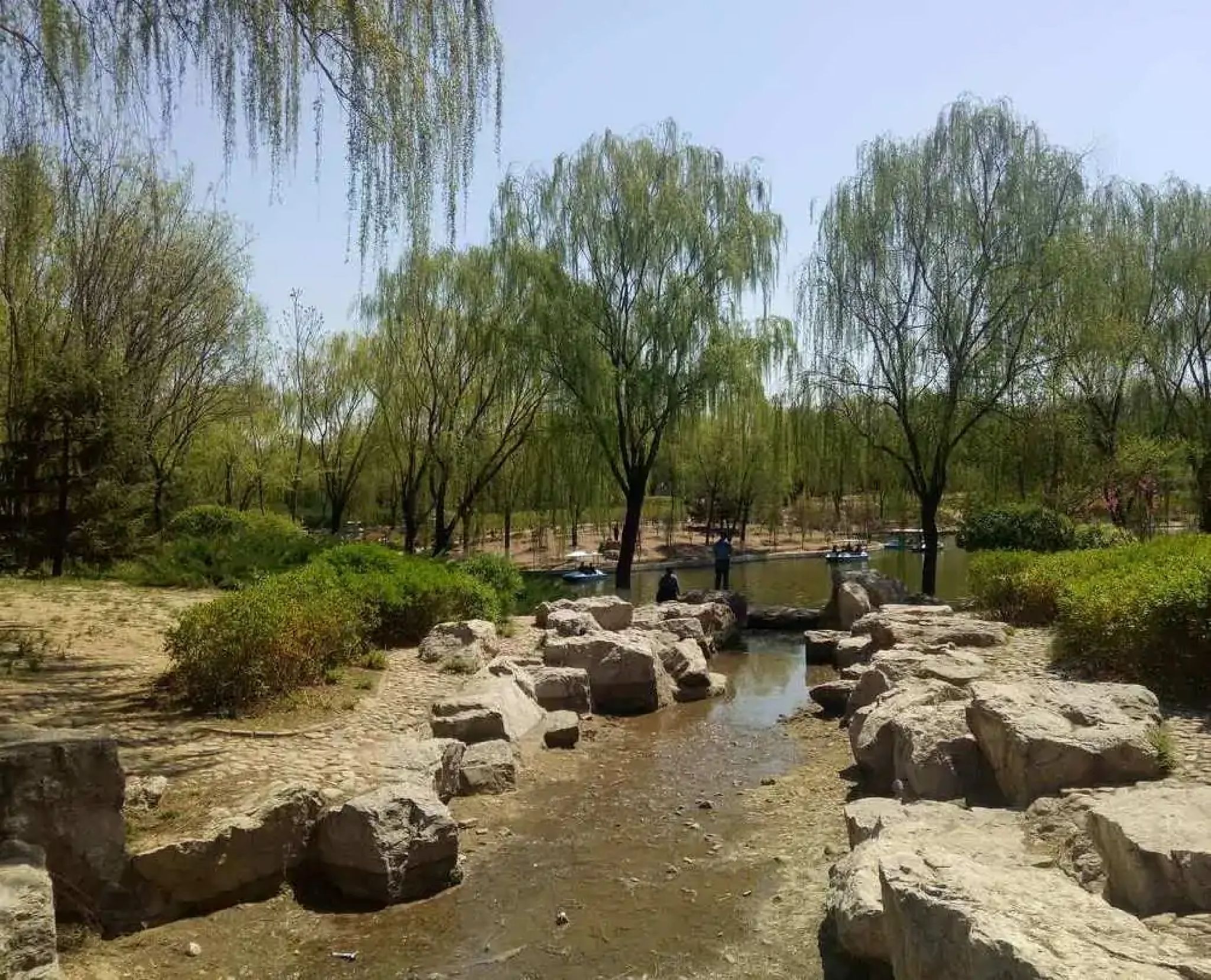 万柳公园旅行图片 1