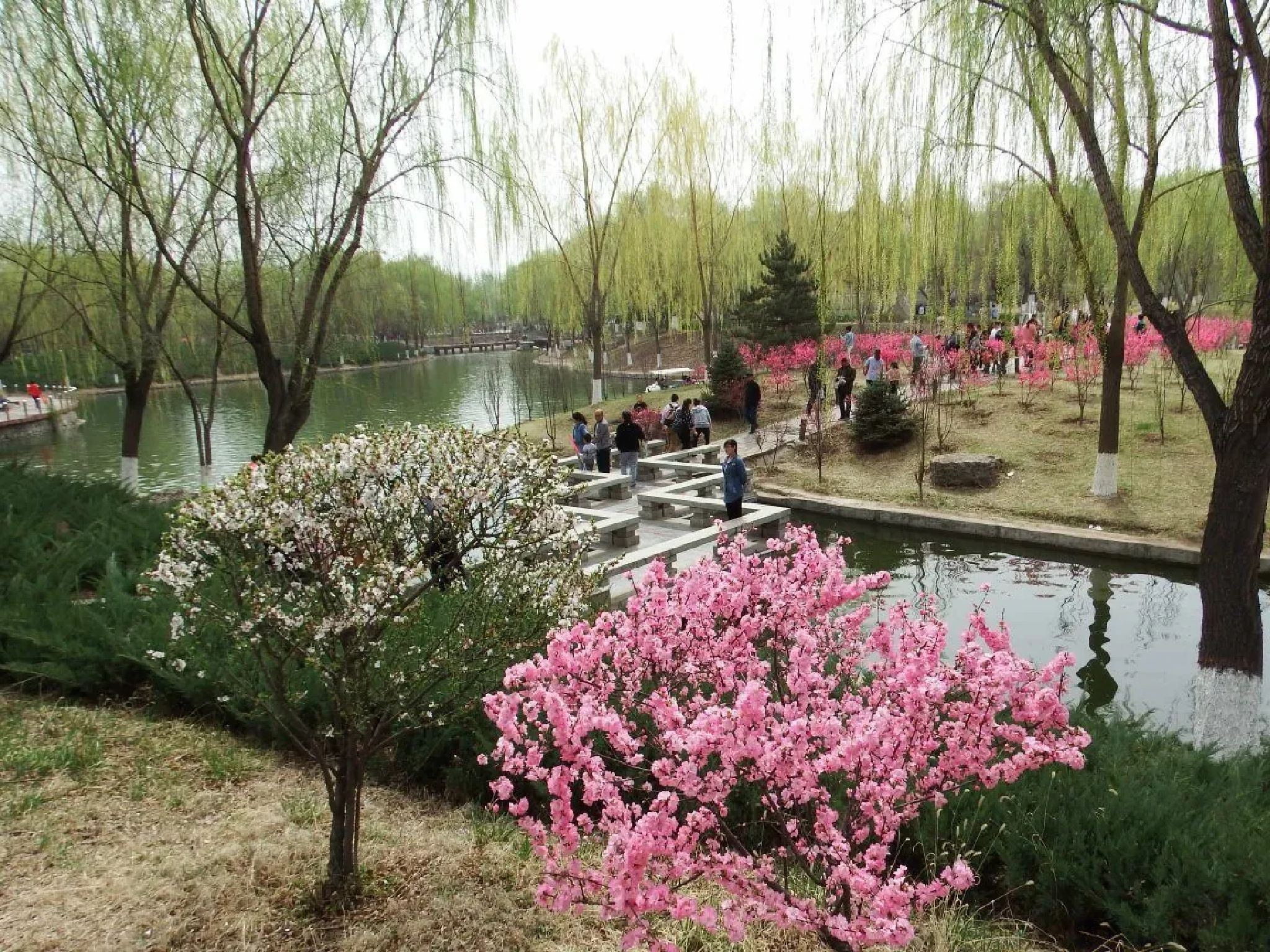 万柳公园旅行图片 3