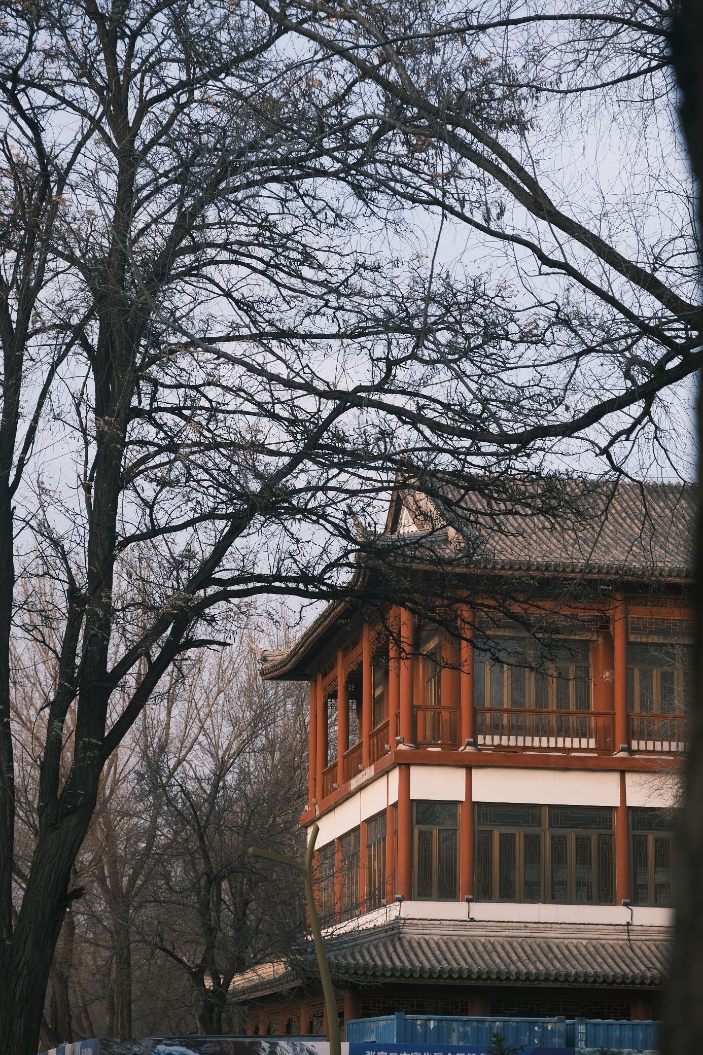 万柳公园旅行图片 1