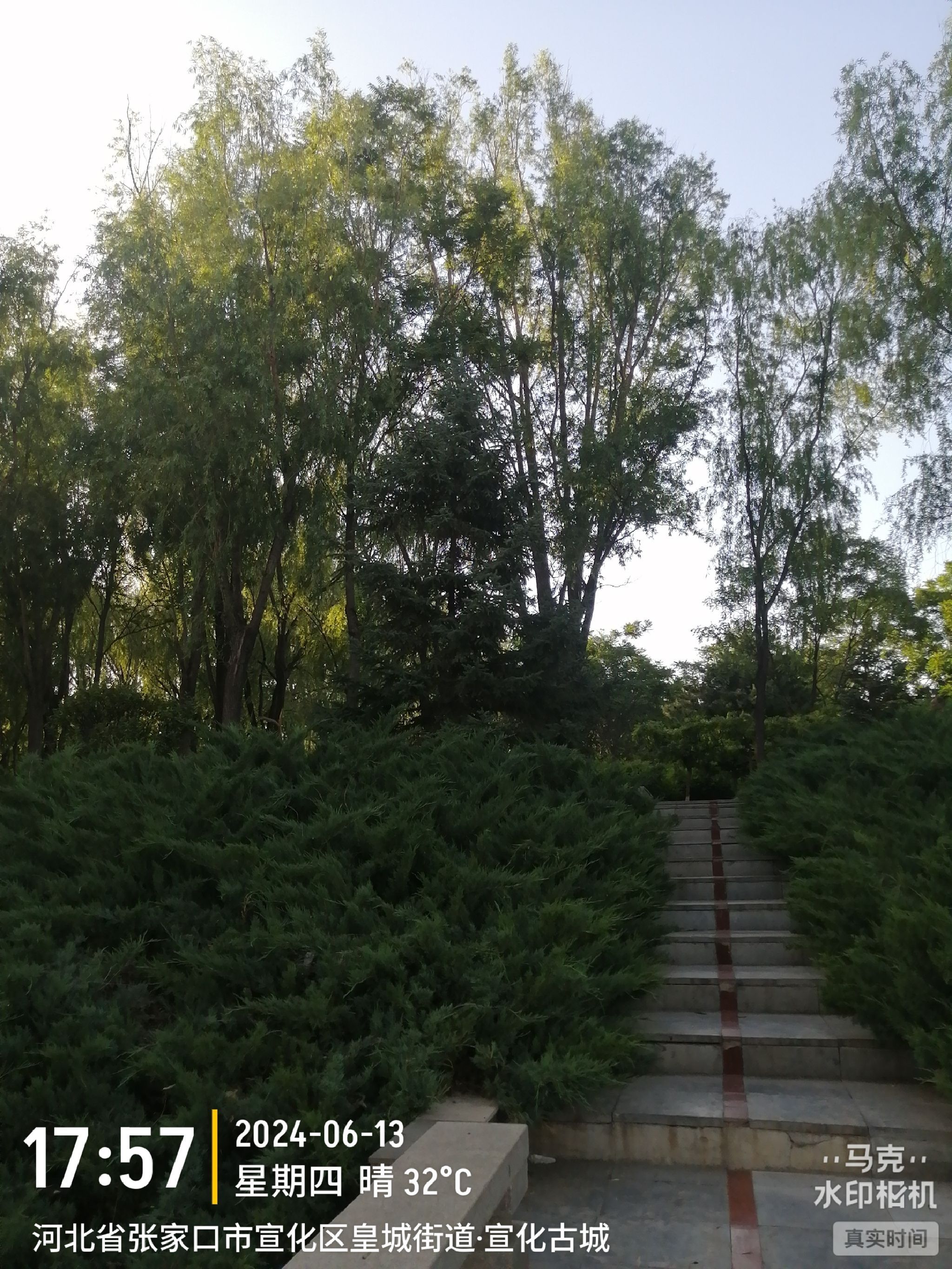 万柳公园旅行图片 2