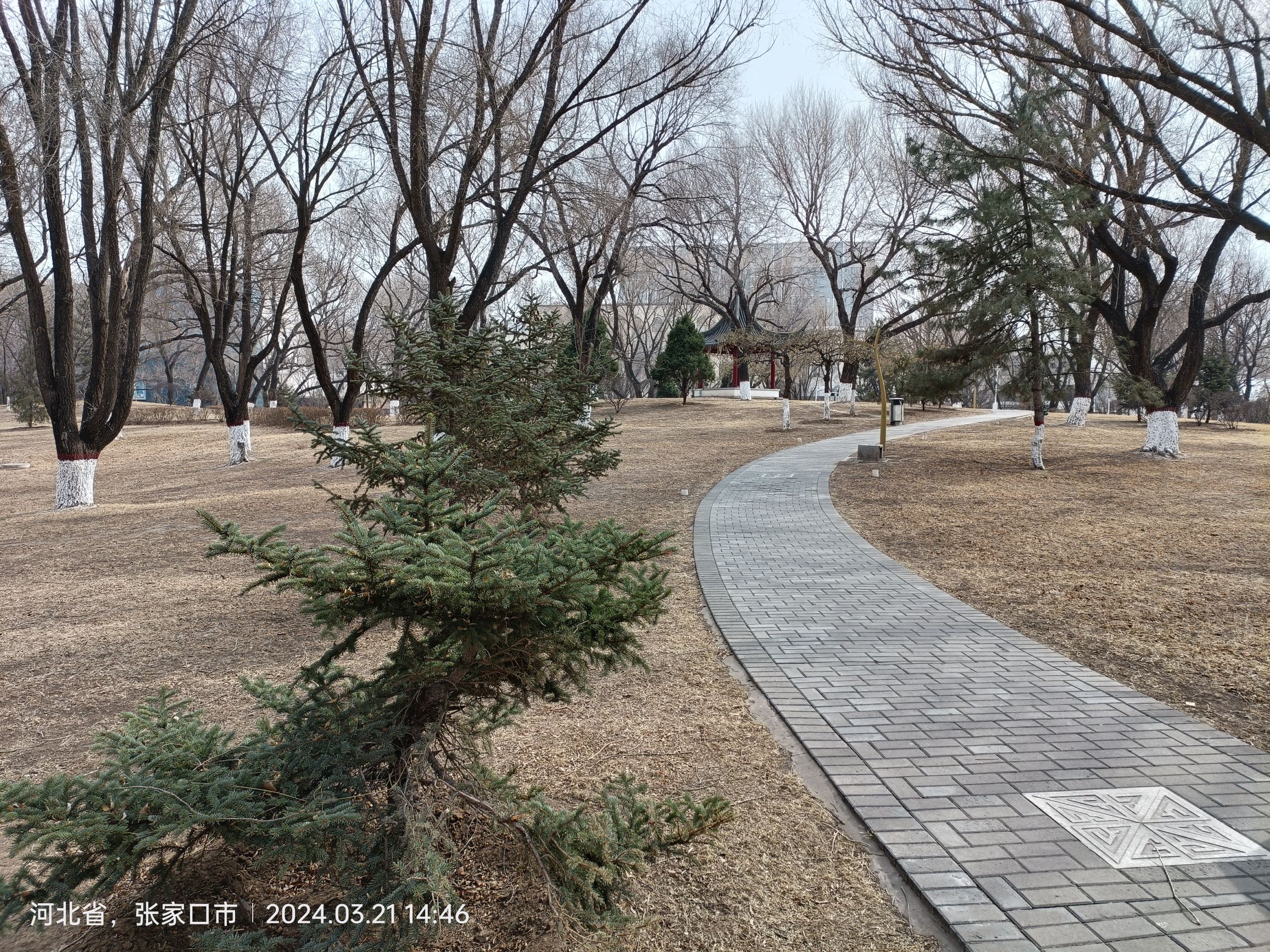 万柳公园旅行图片 3