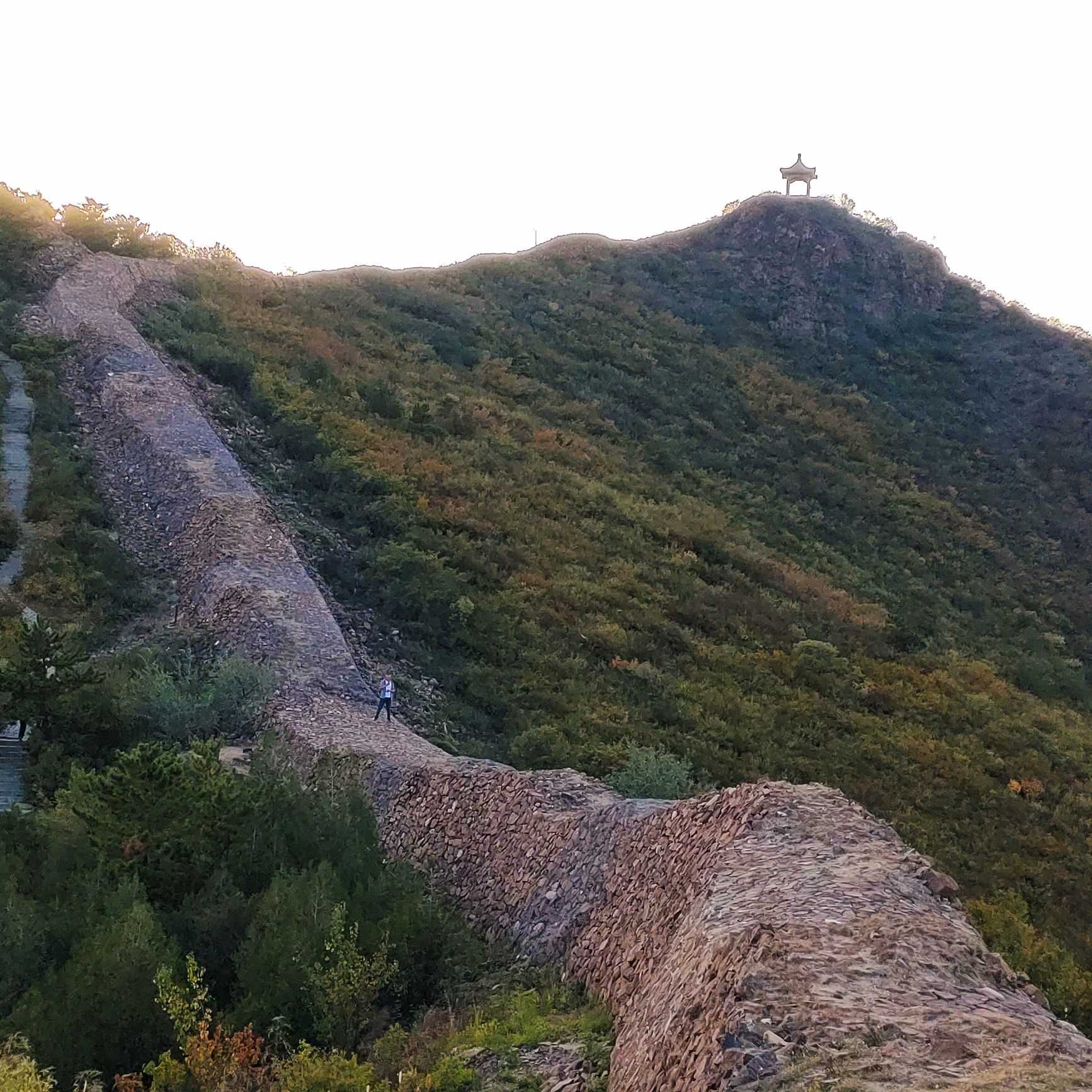 西太平山公园旅行图片 3