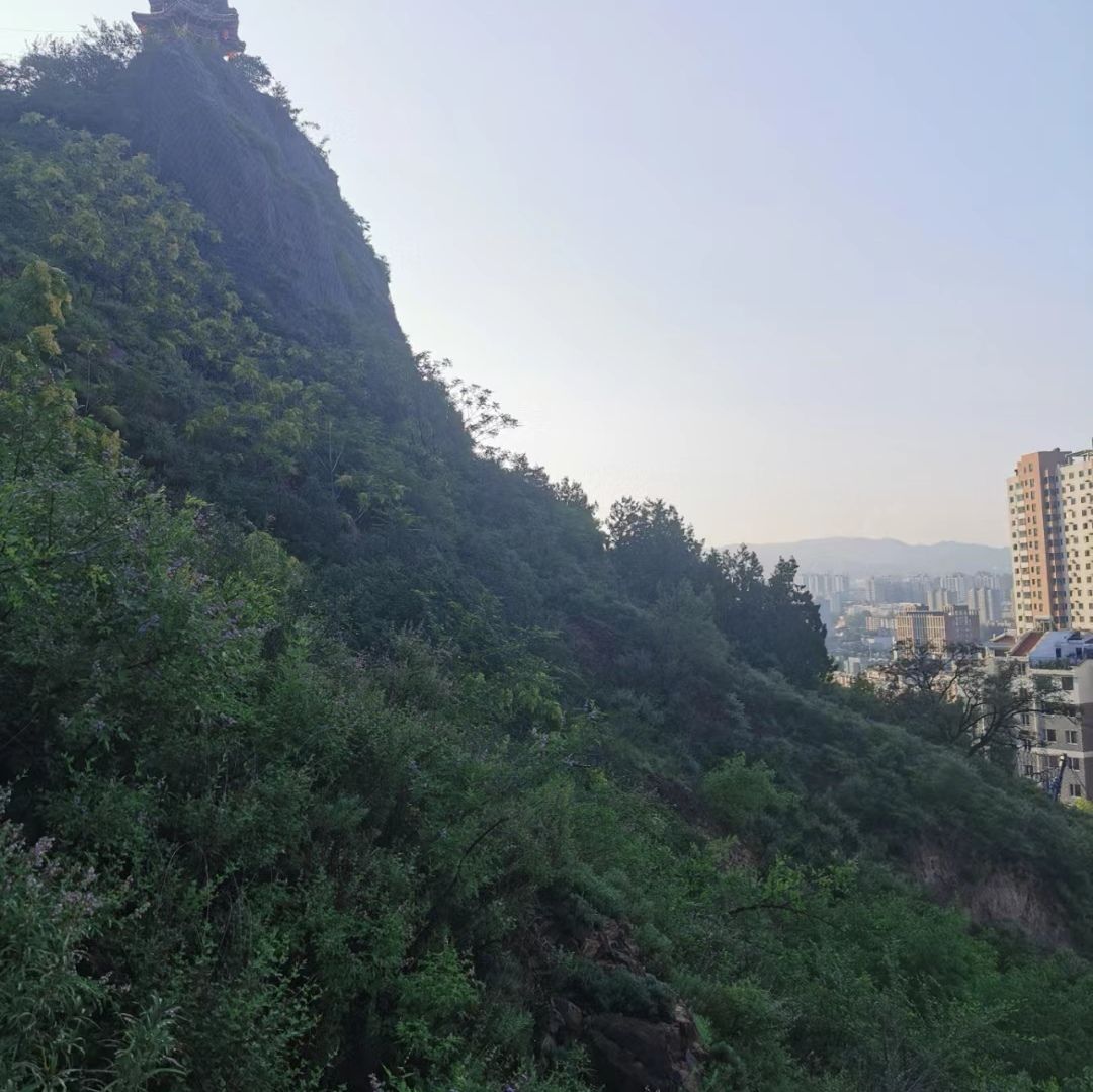 西太平山公园旅行图片 1