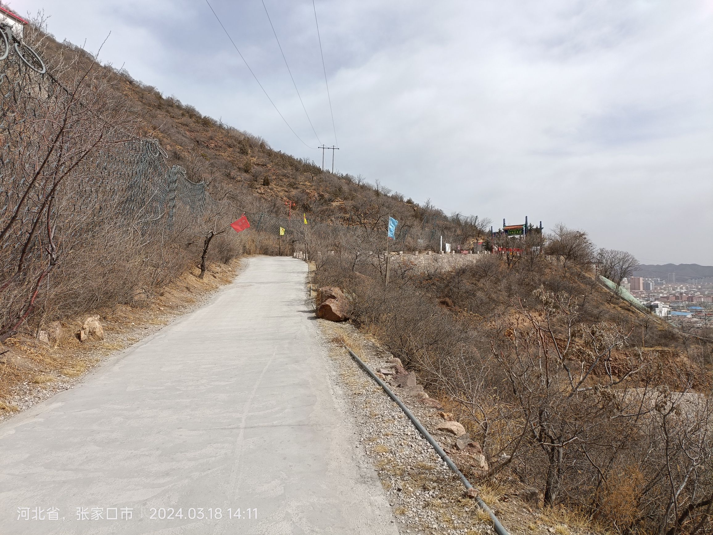 西太平山公园旅行图片 1