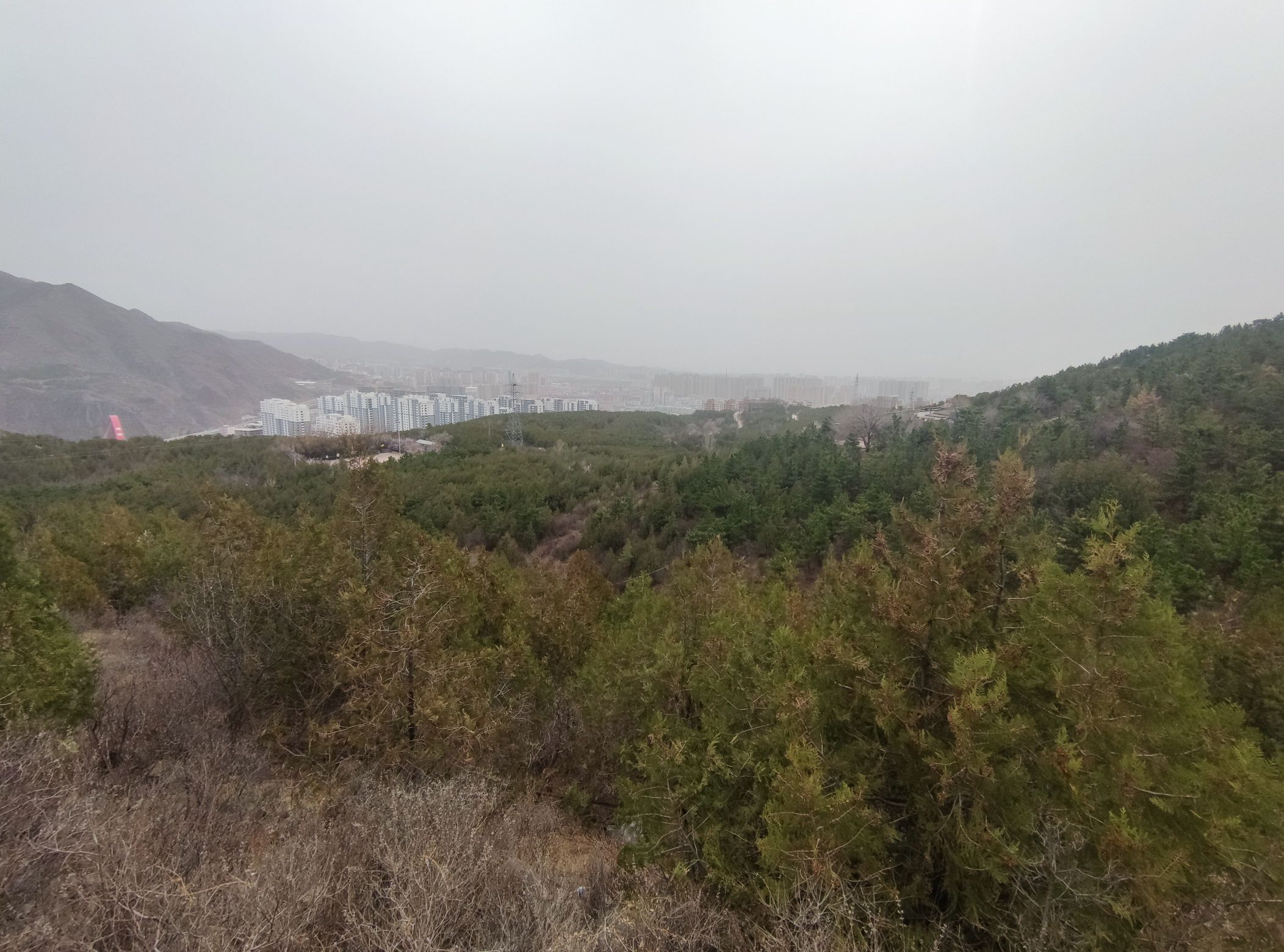 西太平山公园旅行图片 1