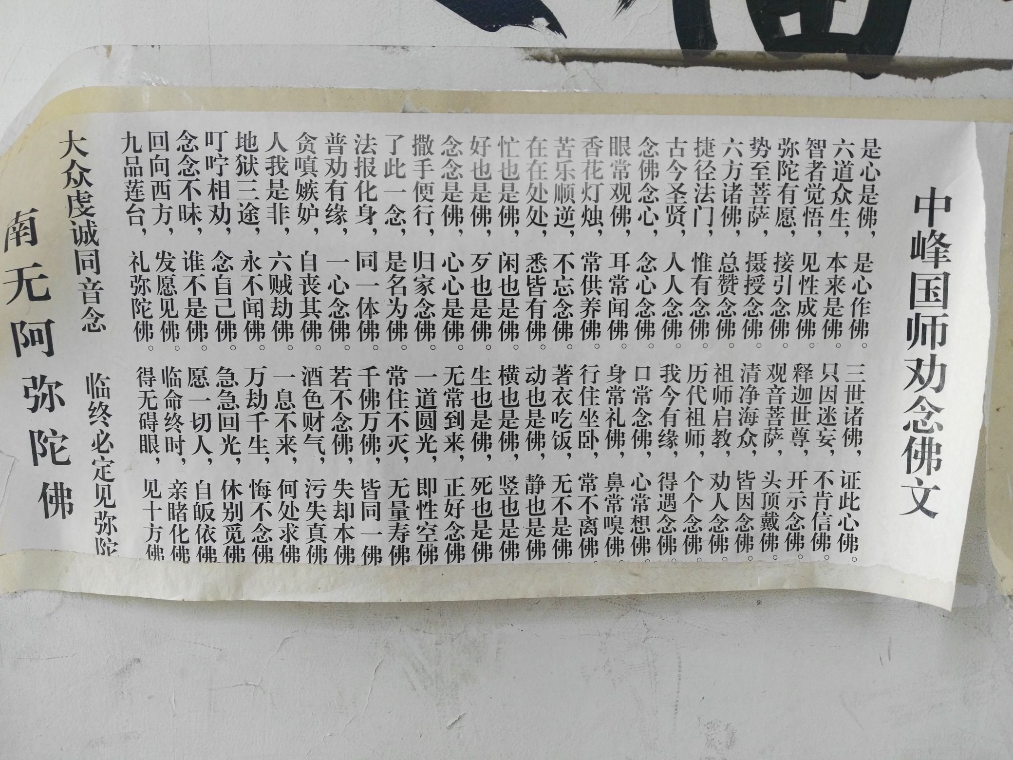 宣化人民公园旅行图片 3