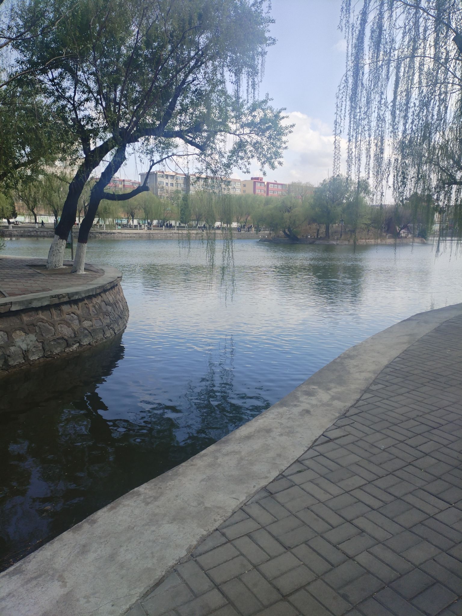 宣化人民公园旅行图片 1