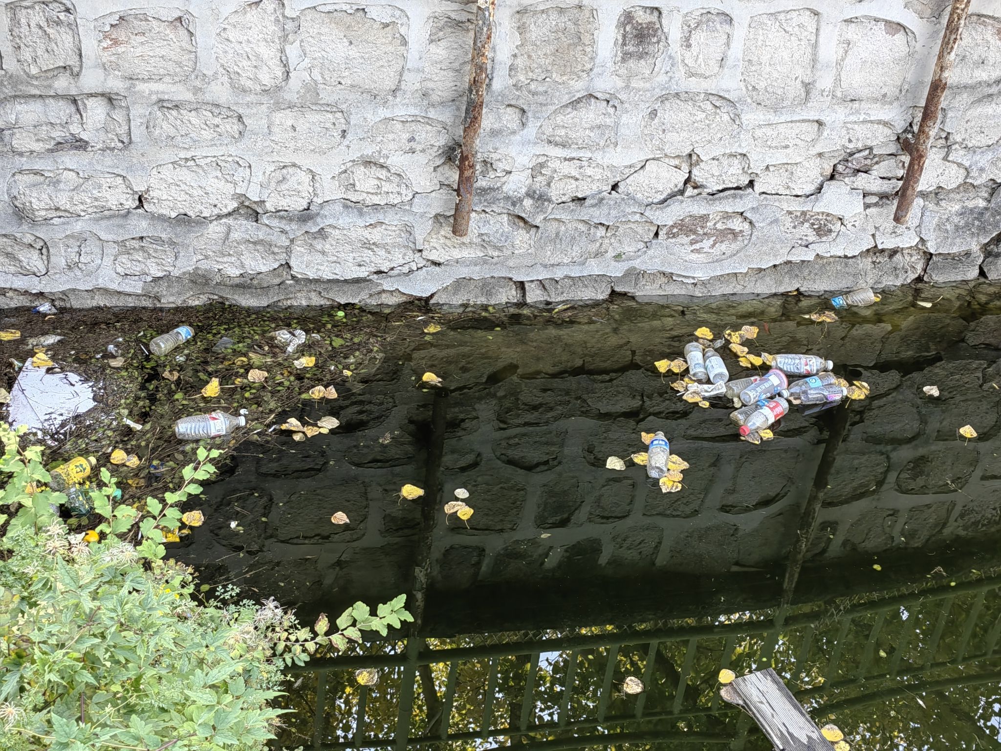 安家沟生态旅游区(暂停开放)旅行图片 1