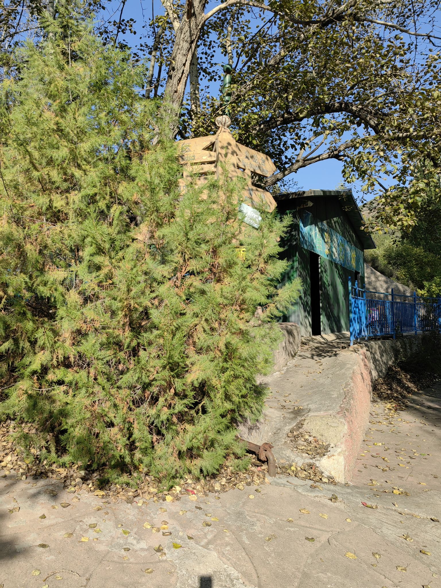 安家沟生态旅游区(暂停开放)旅行图片 3