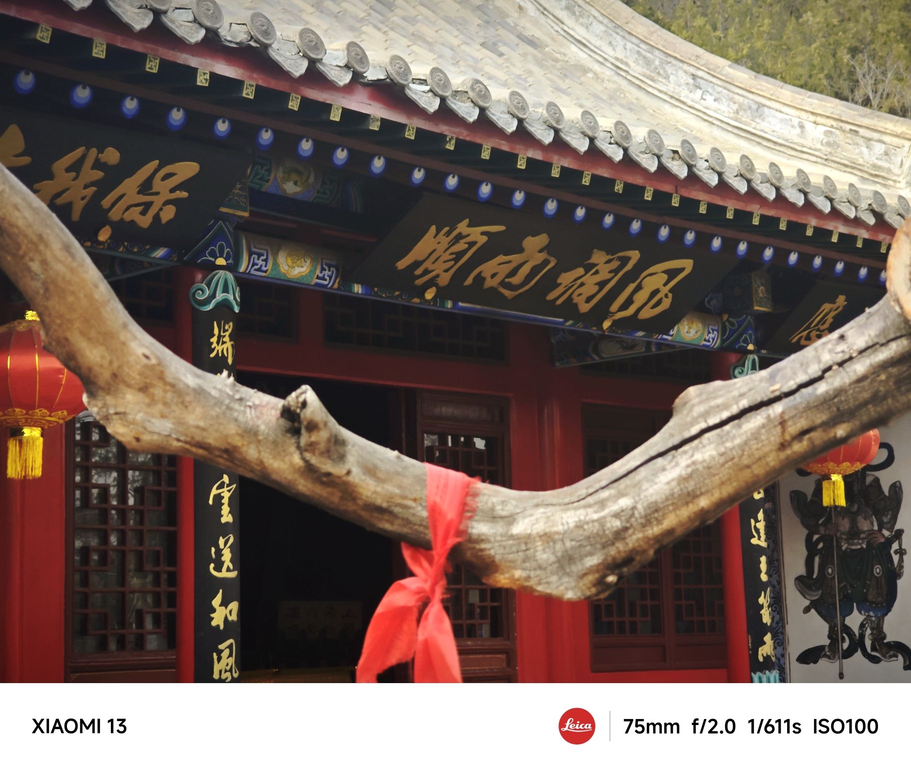 水母宫旅行图片 1