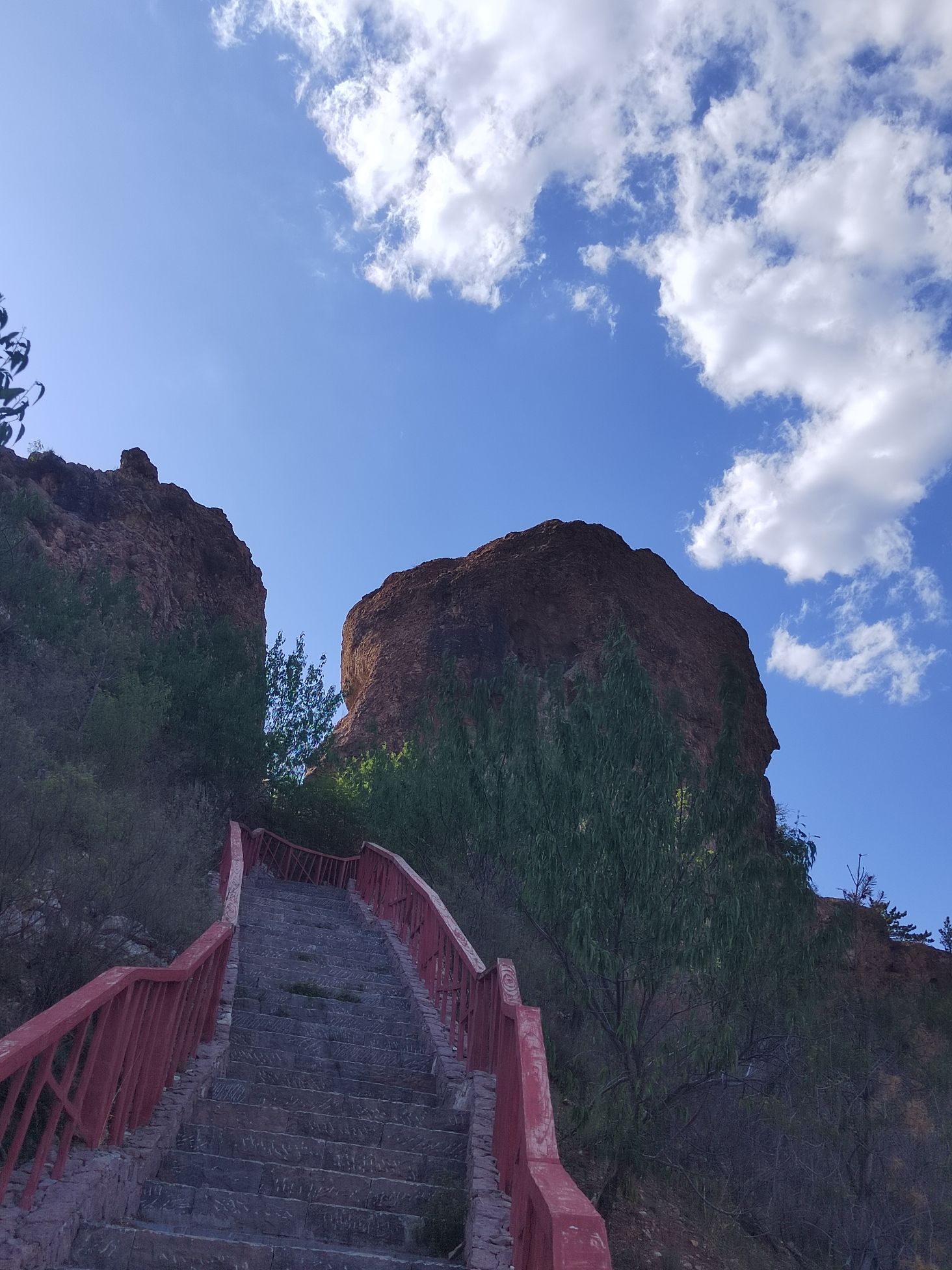 水母宫旅行图片 2