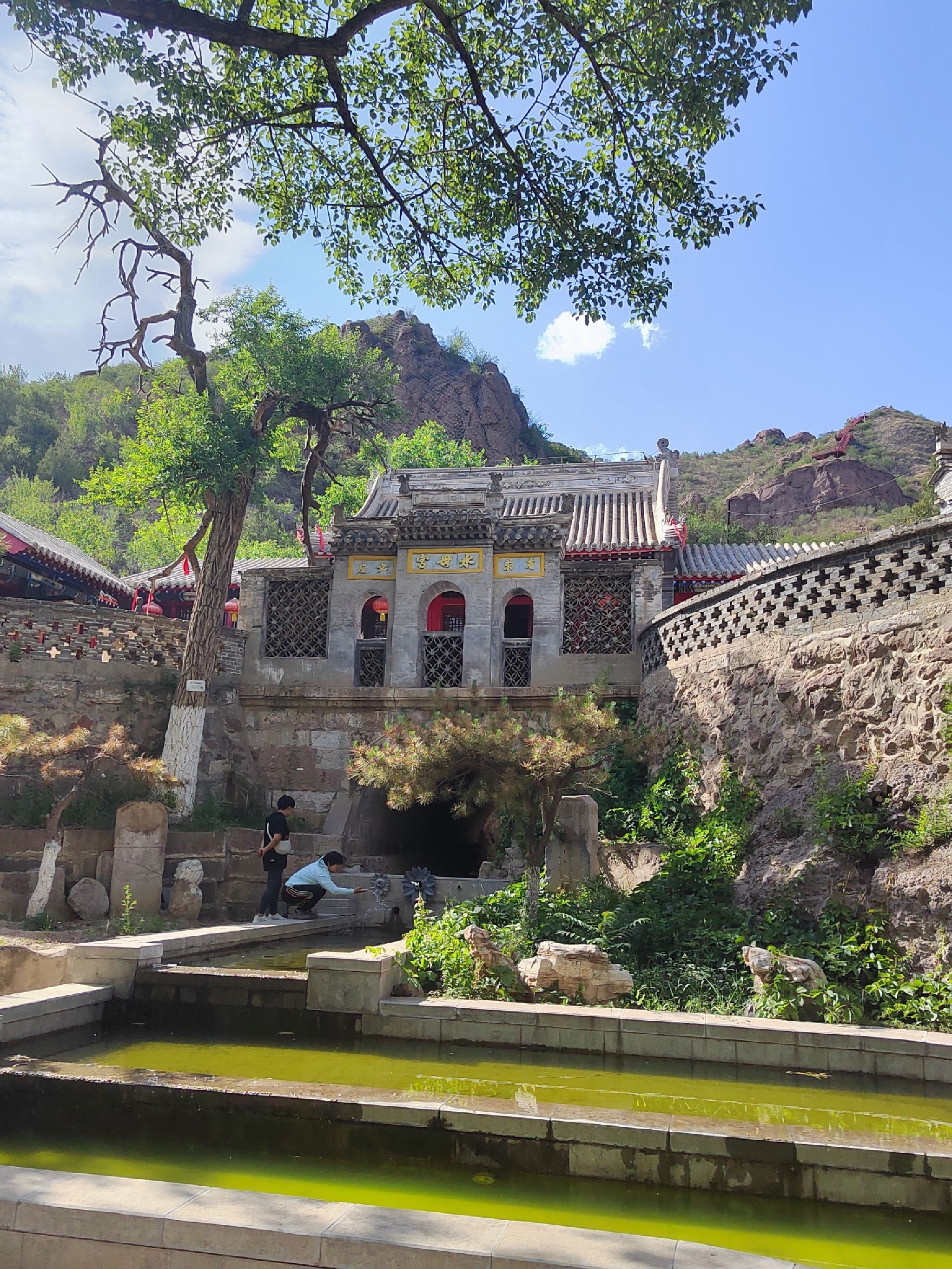 水母宫旅行图片 1