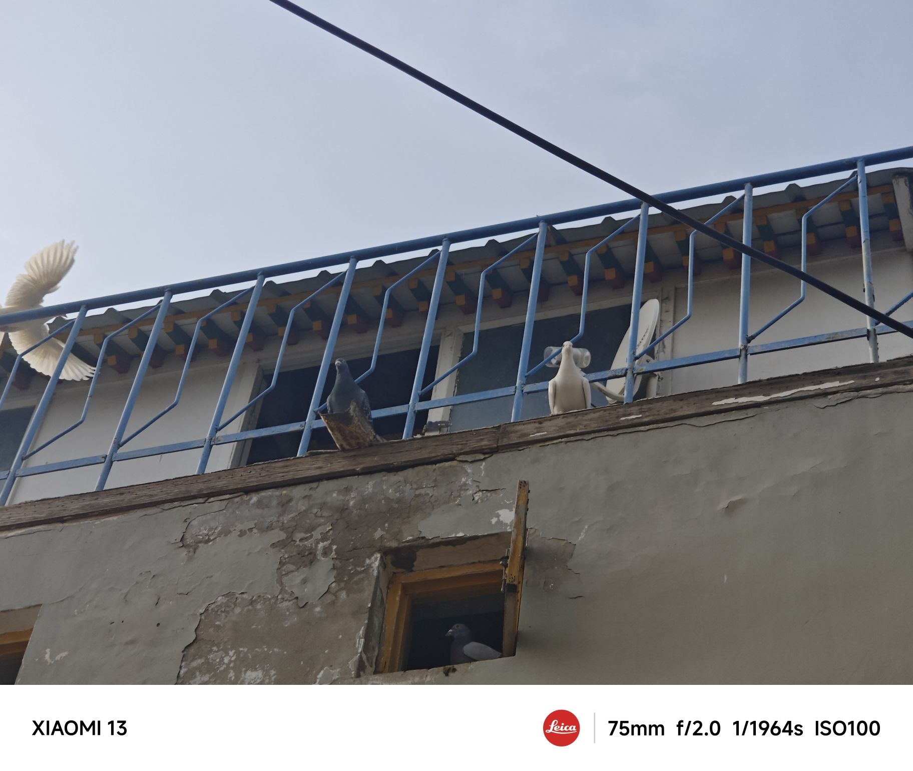 水母宫旅行图片 3