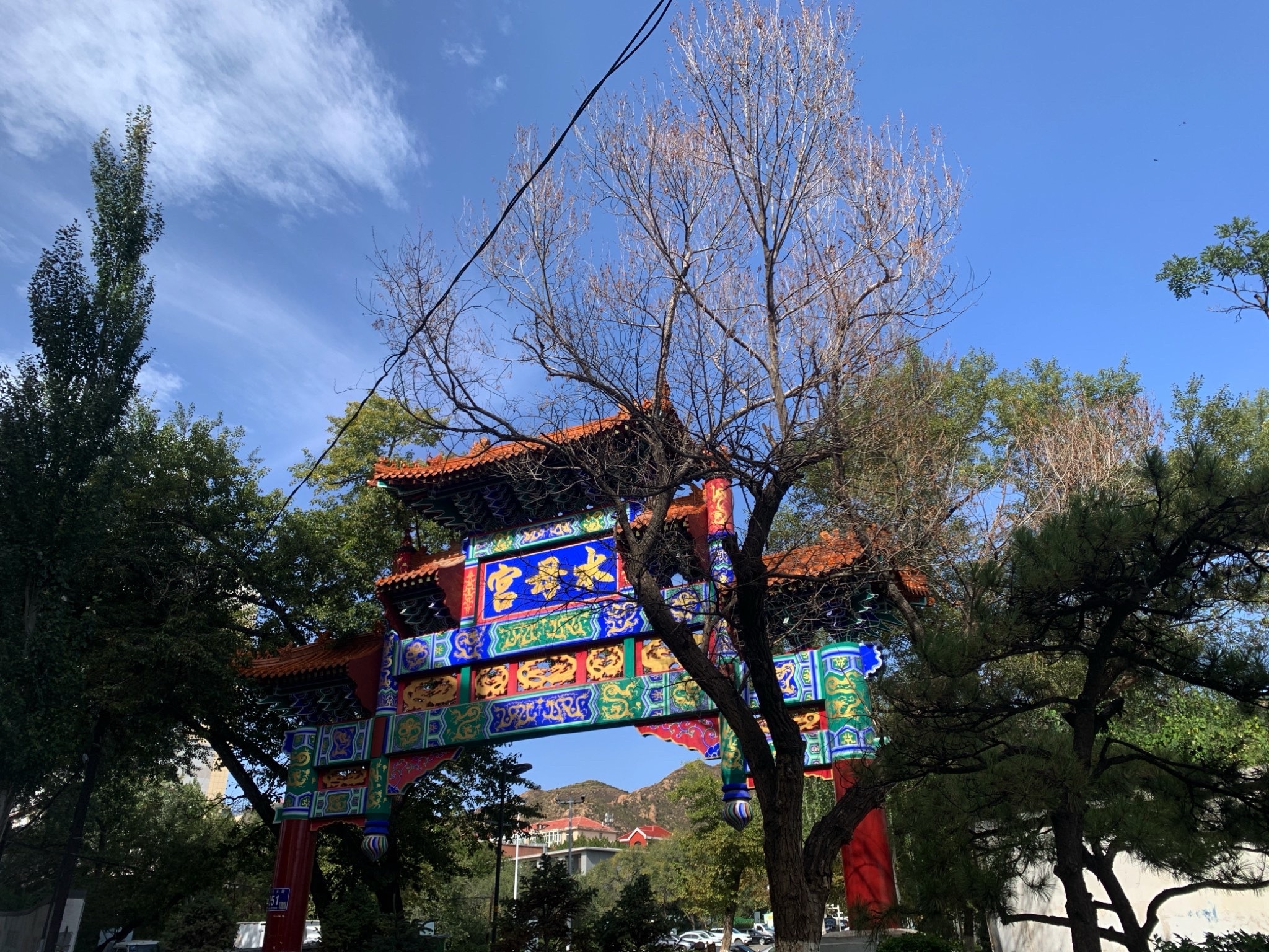 水母宫旅行图片 1