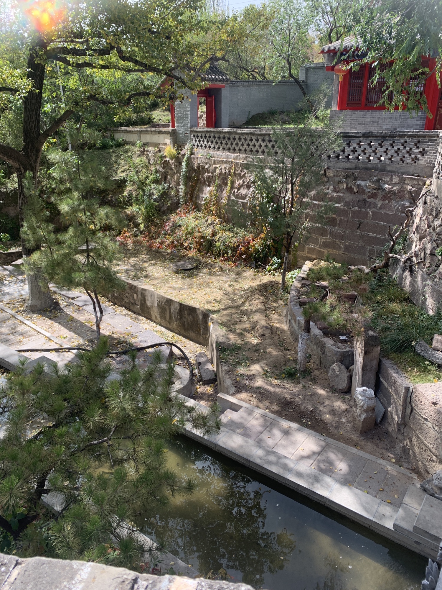 水母宫旅行图片 3